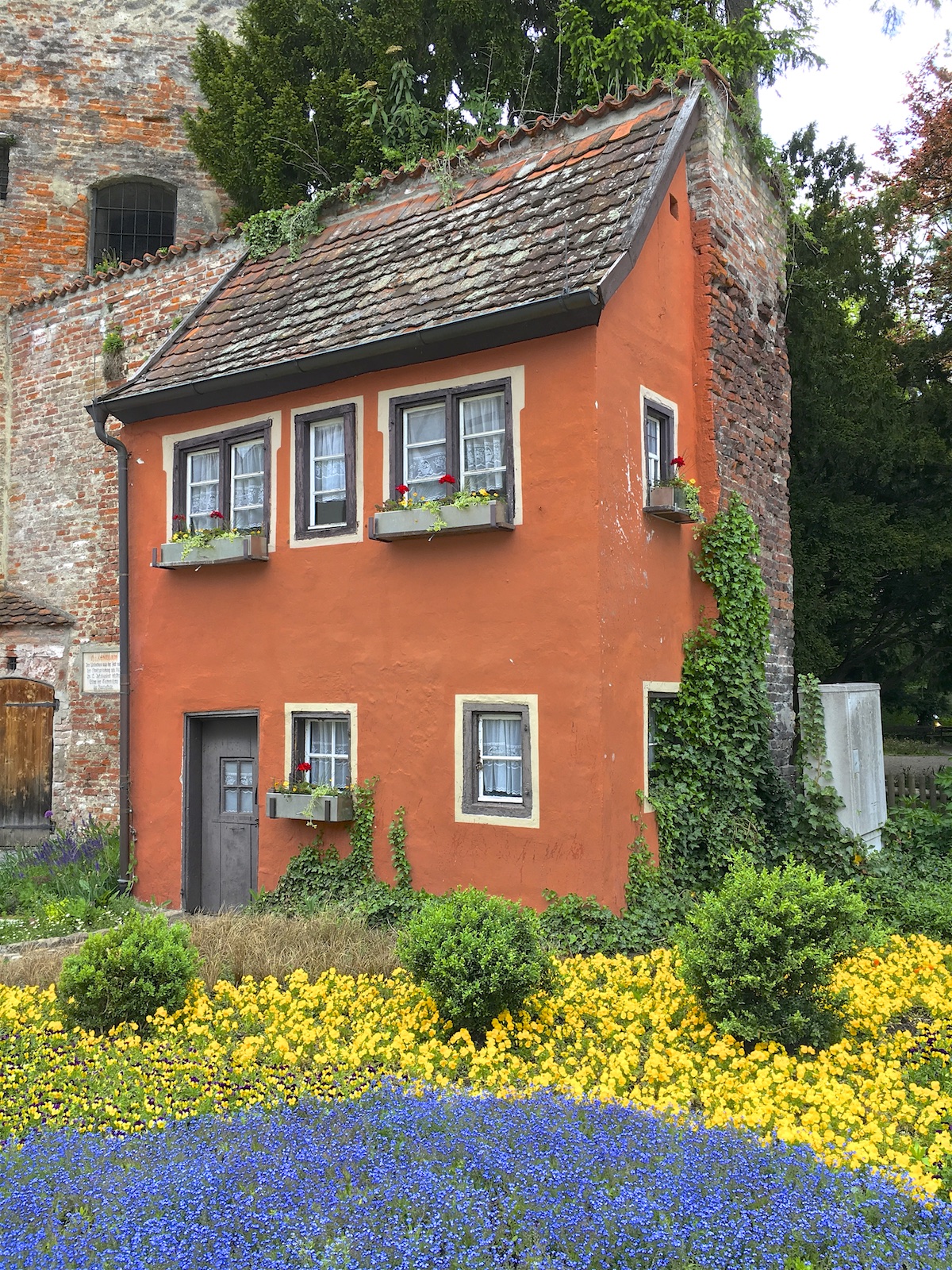 Bild ohne Beschreibung Bild ohne Beschreibung