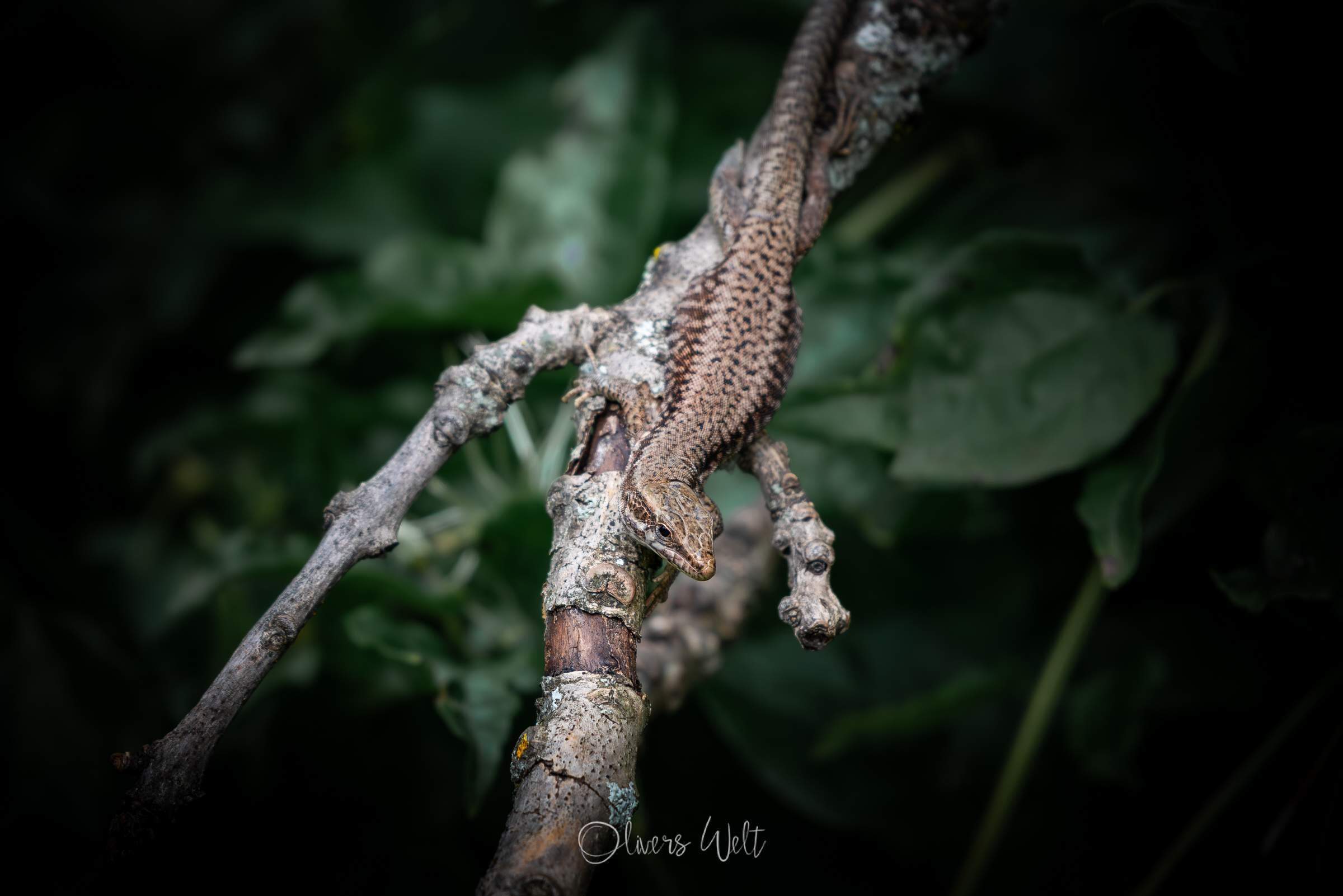 Bild ohne Beschreibung