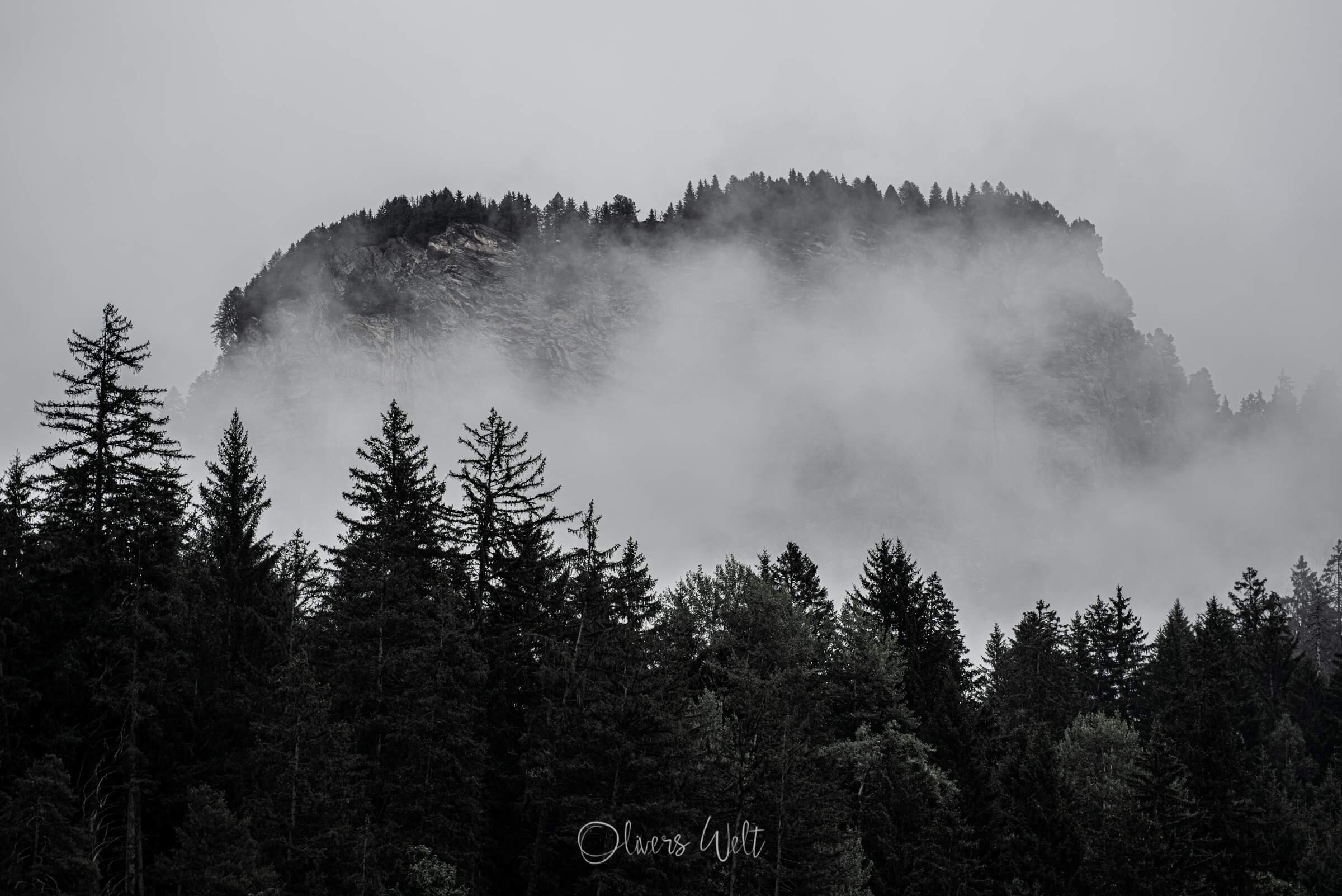 Bild ohne Beschreibung