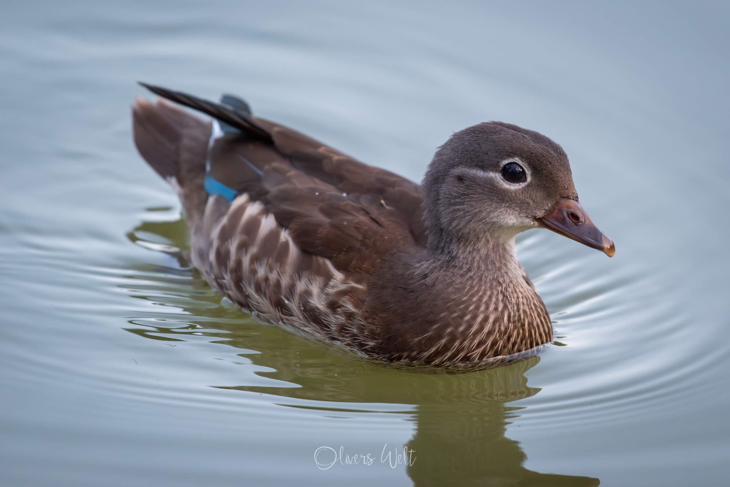 Bild ohne Beschreibung Bild ohne Beschreibung