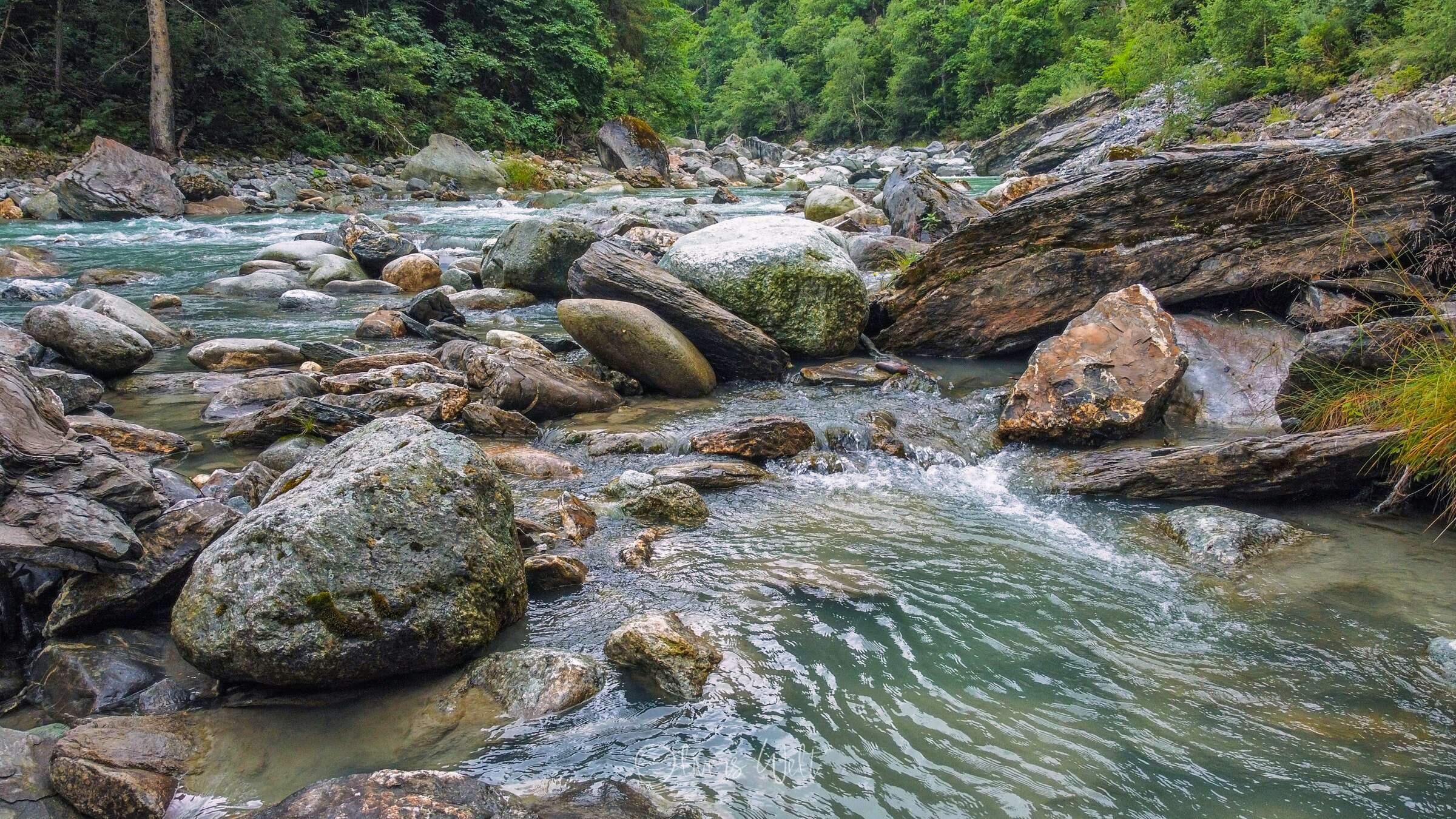 Bild ohne Beschreibung