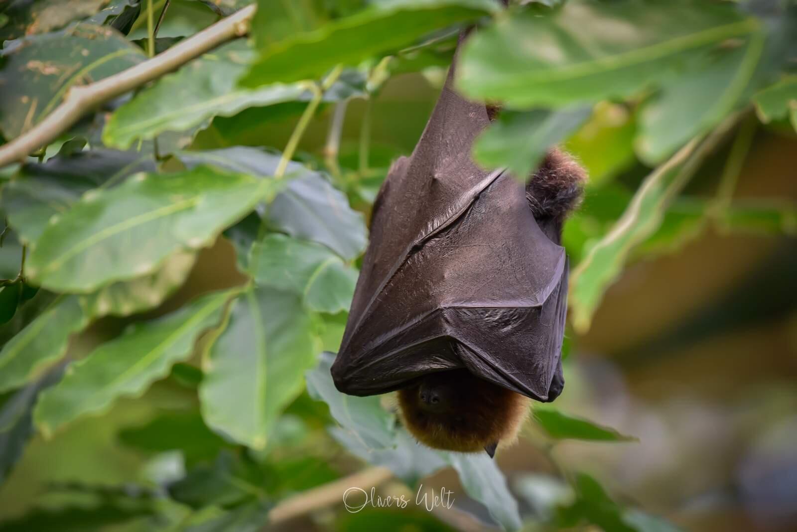 Bild ohne Beschreibung Bild ohne Beschreibung