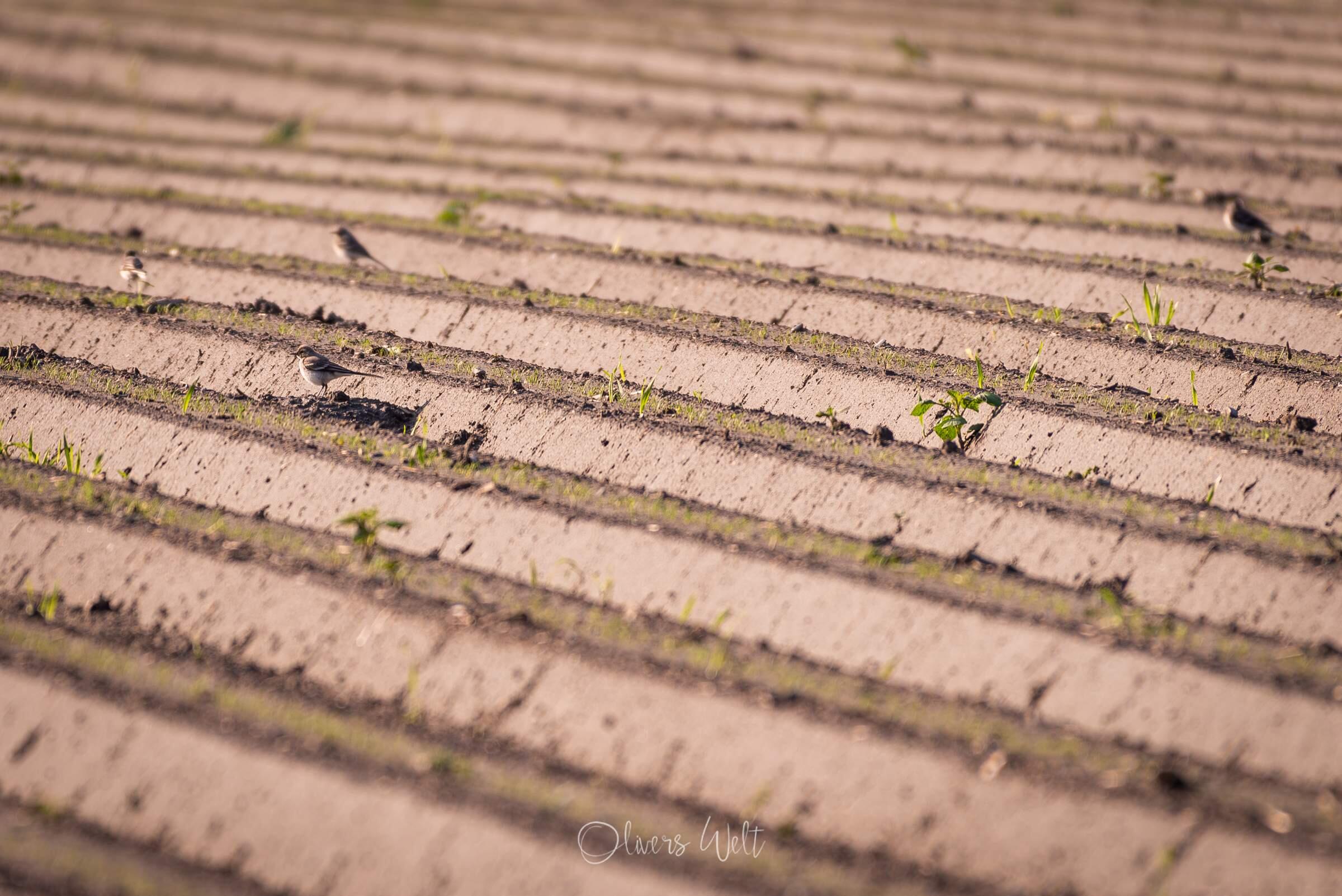 Bild ohne Beschreibung Bild ohne Beschreibung