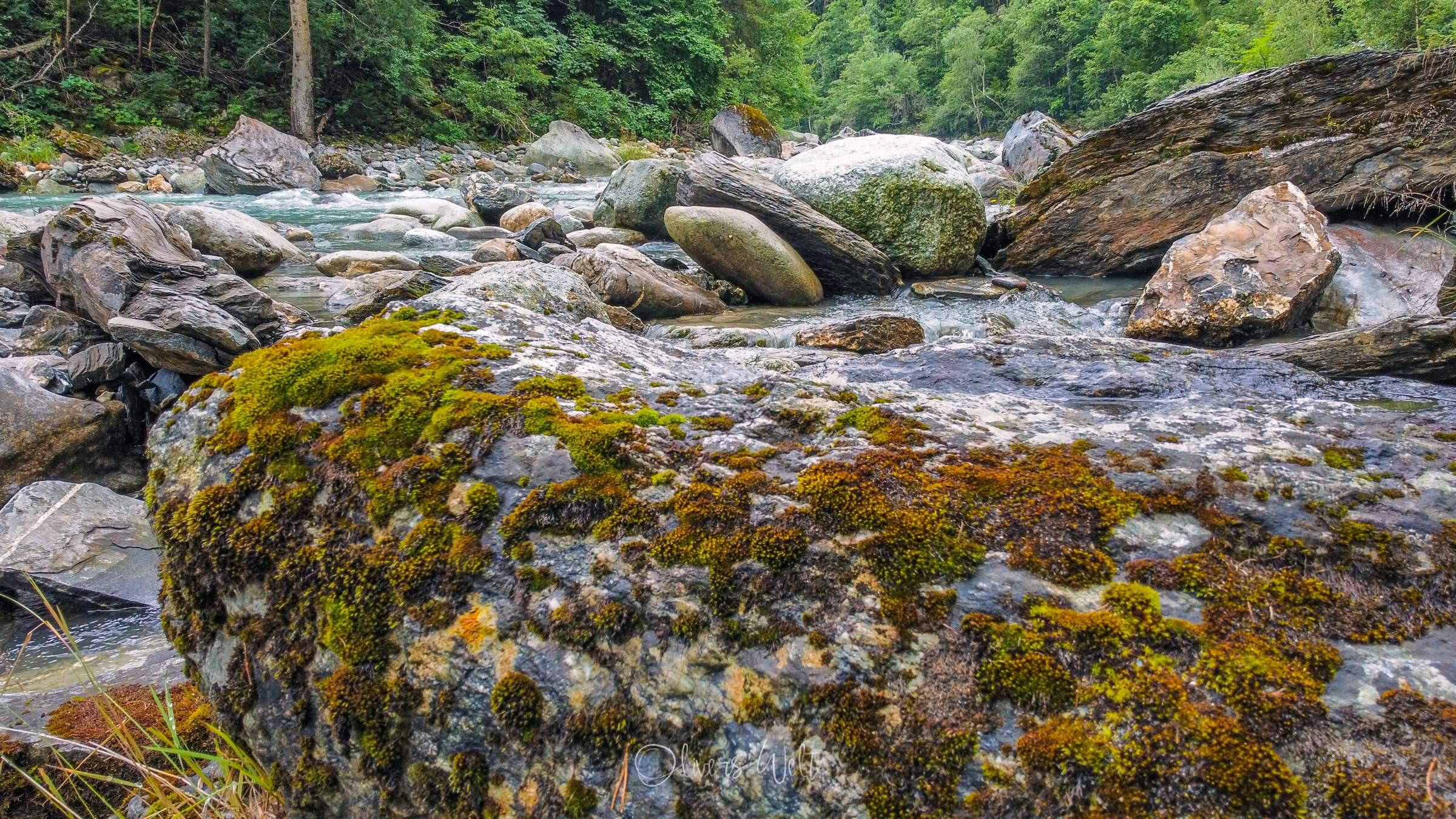 Bild ohne Beschreibung