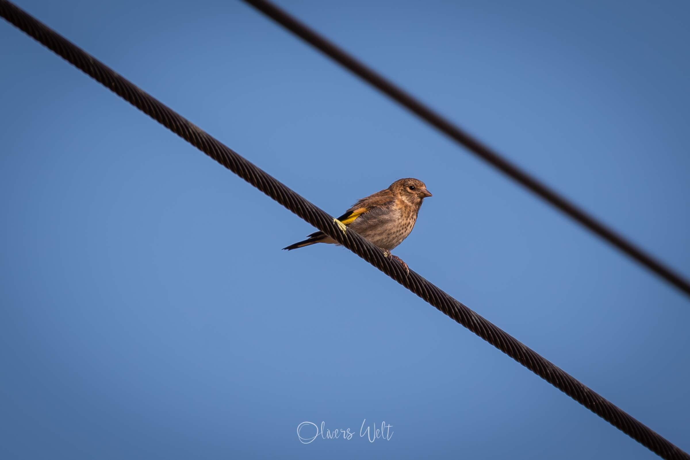 Bild ohne Beschreibung Bild ohne Beschreibung