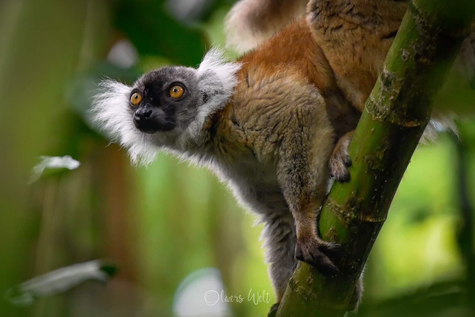 Bild ohne Beschreibung Bild ohne Beschreibung