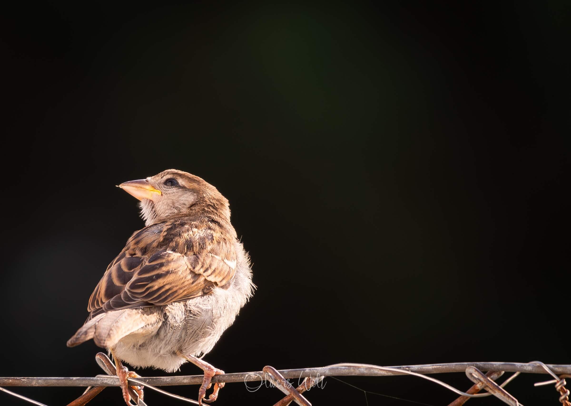 Bild ohne Beschreibung Bild ohne Beschreibung