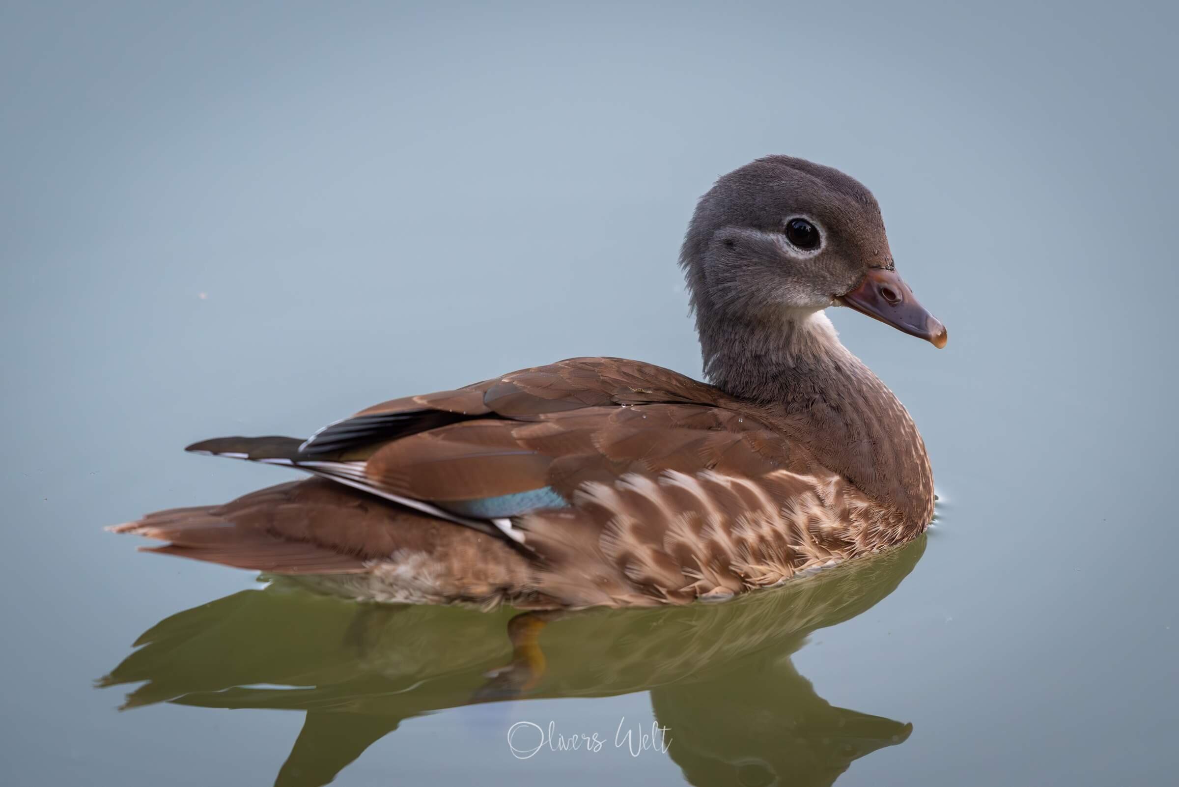Bild ohne Beschreibung Bild ohne Beschreibung