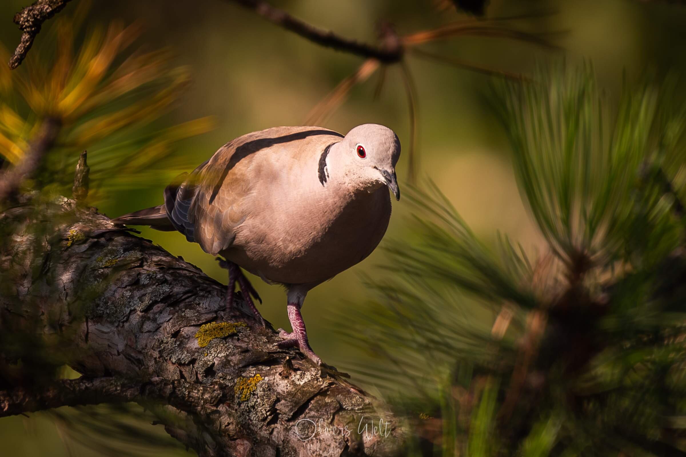 Bild ohne Beschreibung Bild ohne Beschreibung