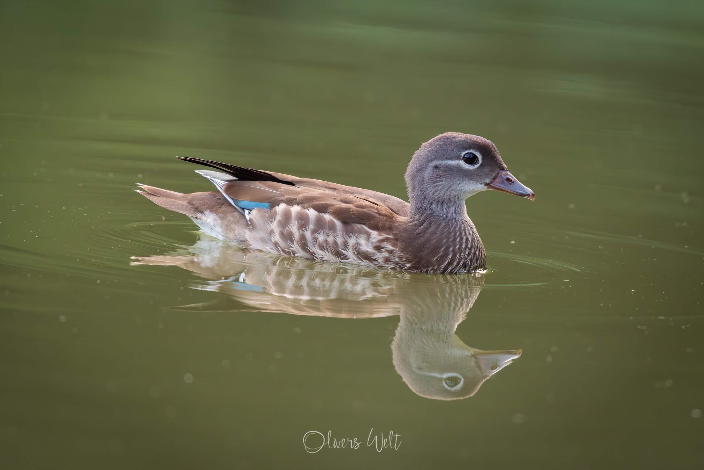 Bild ohne Beschreibung Bild ohne Beschreibung