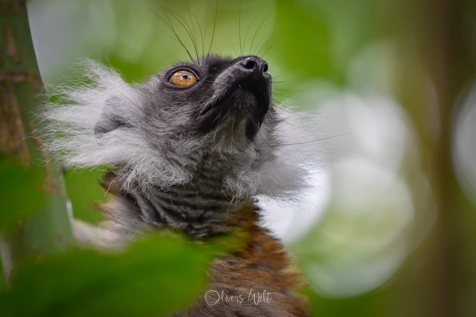 Bild ohne Beschreibung Bild ohne Beschreibung