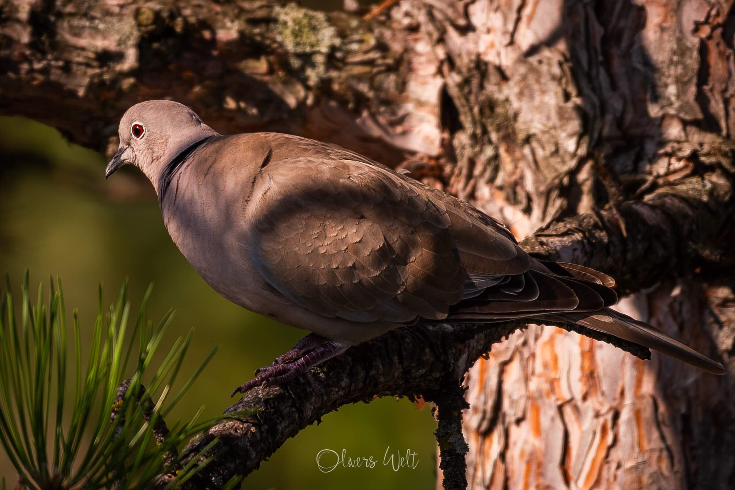 Bild ohne Beschreibung Bild ohne Beschreibung