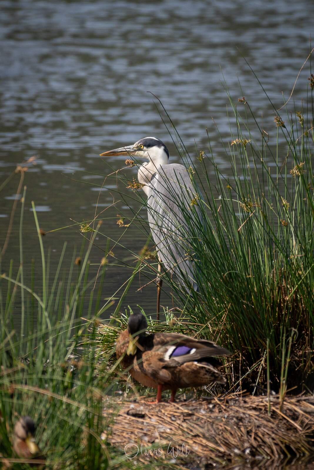 Bild ohne Beschreibung