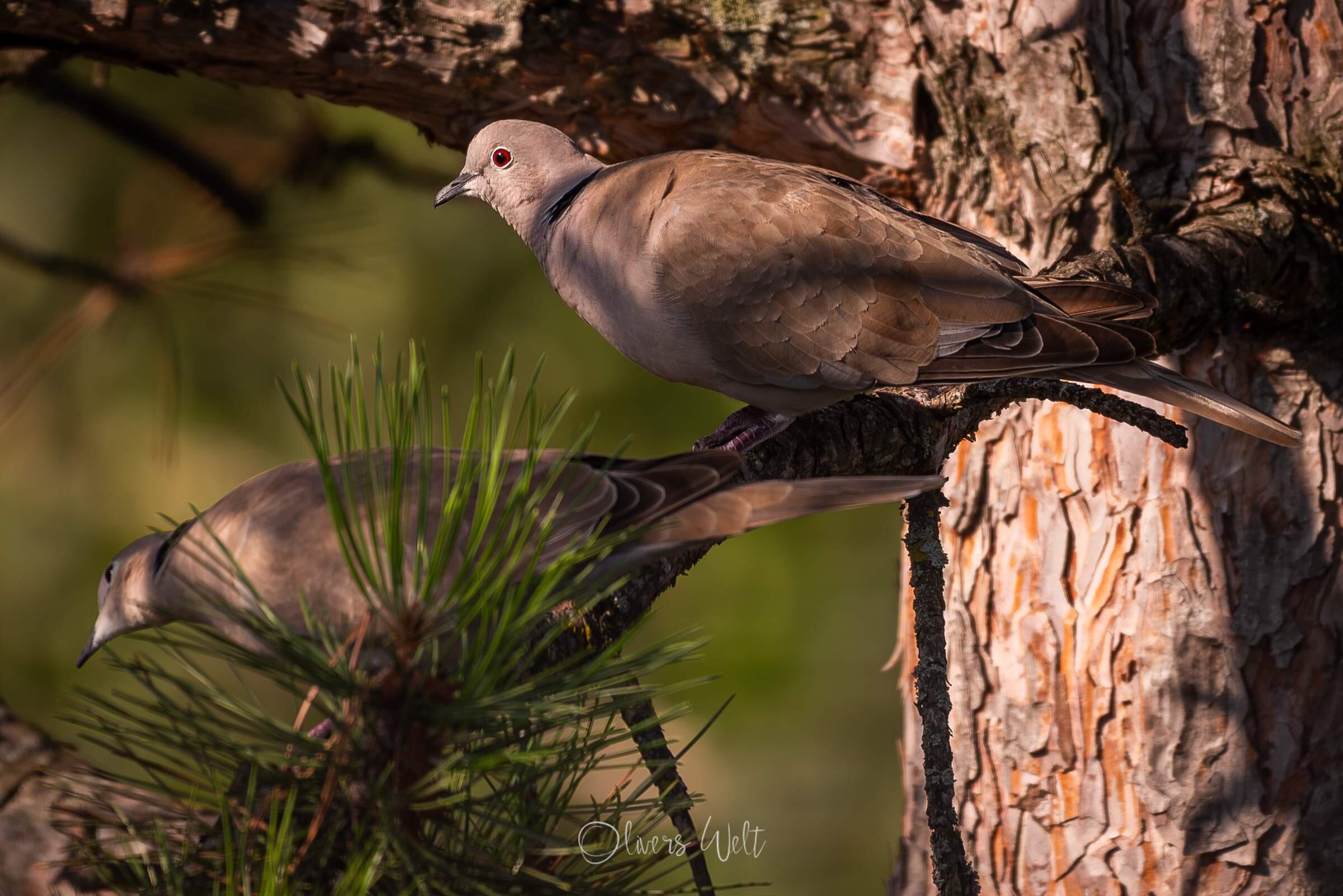 Bild ohne Beschreibung Bild ohne Beschreibung