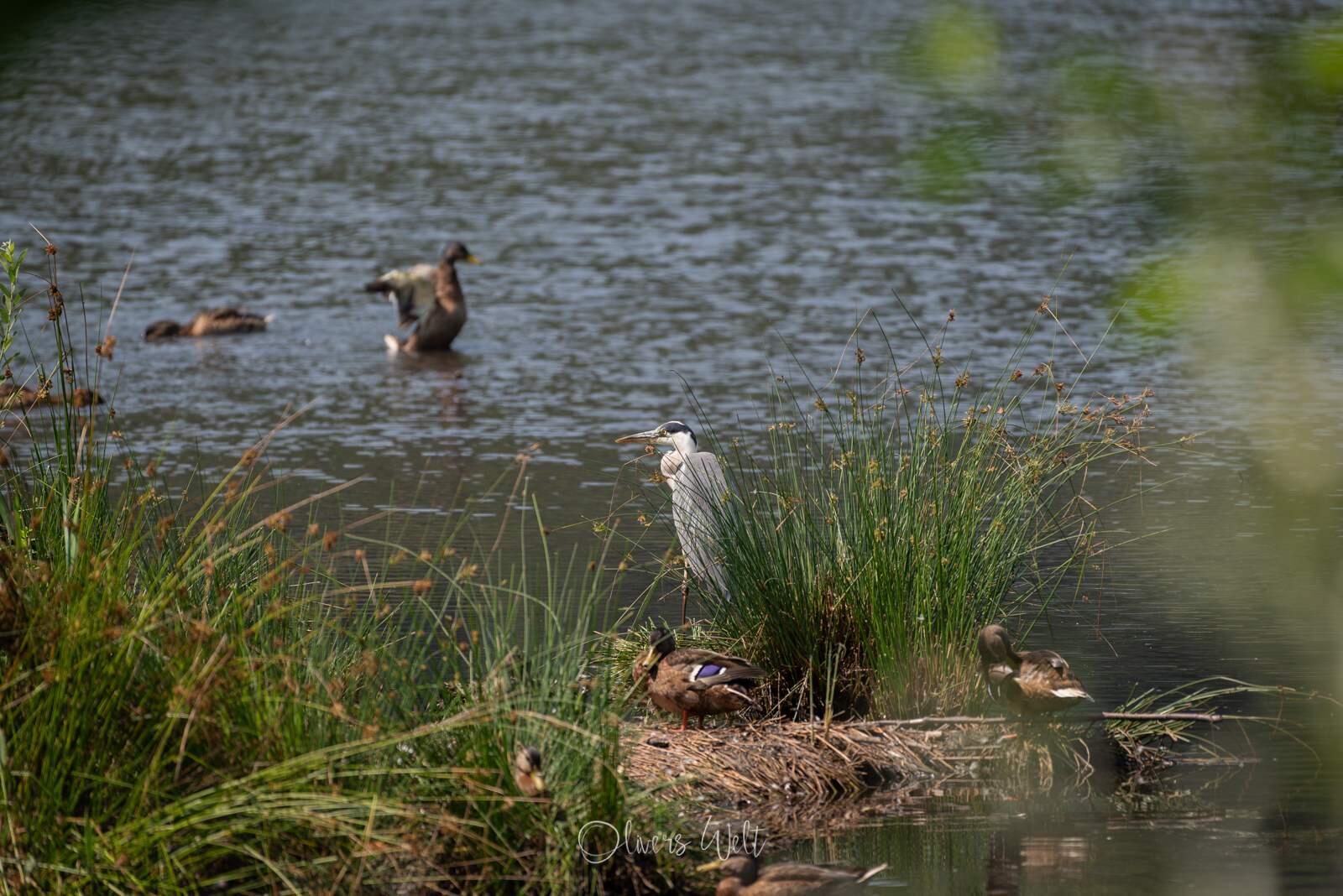 Bild ohne Beschreibung