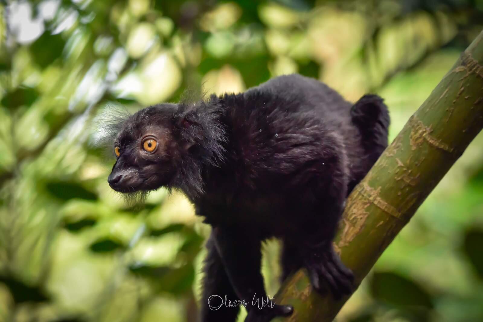 Bild ohne Beschreibung Bild ohne Beschreibung