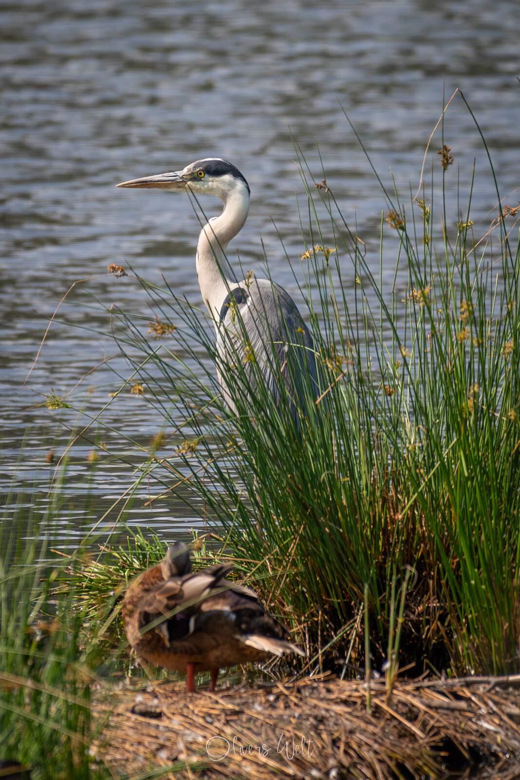 Bild ohne Beschreibung