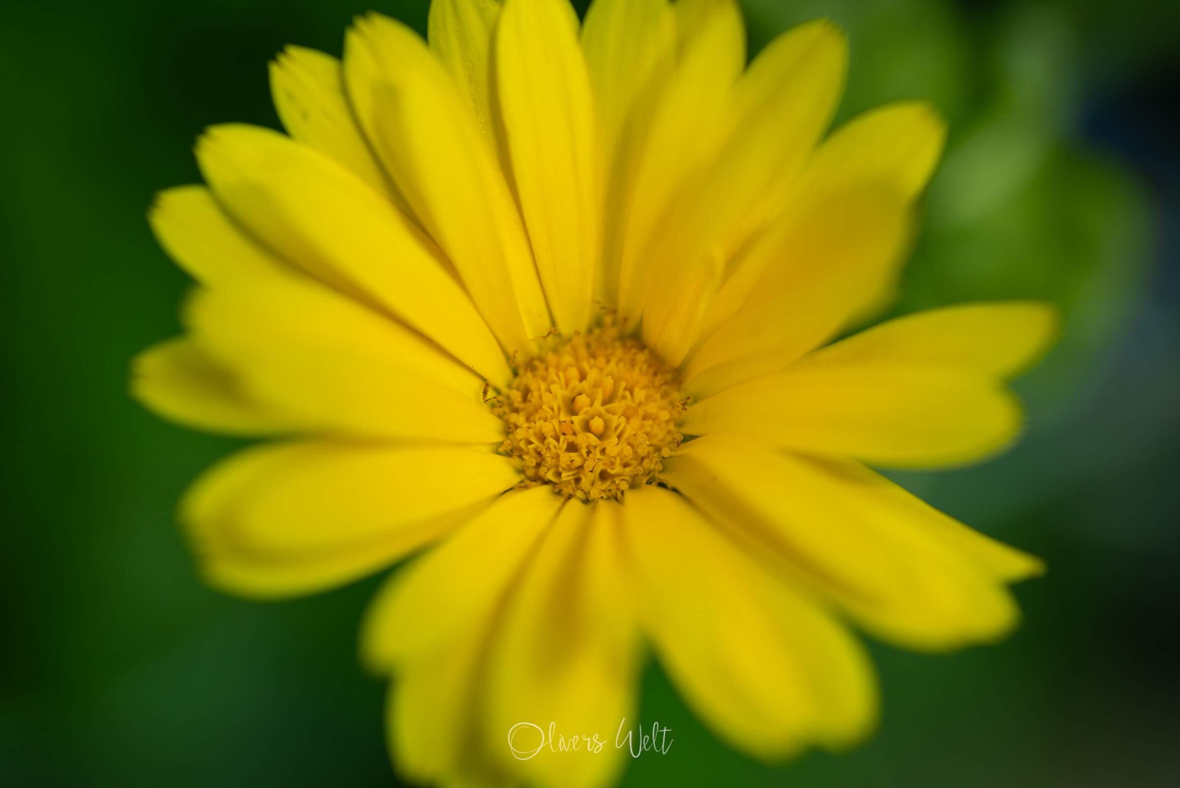 Bild ohne Beschreibung Bild ohne Beschreibung