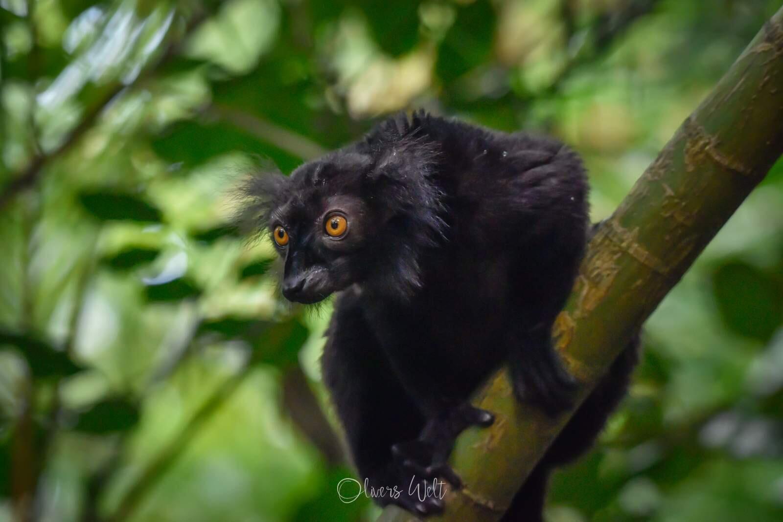 Bild ohne Beschreibung Bild ohne Beschreibung