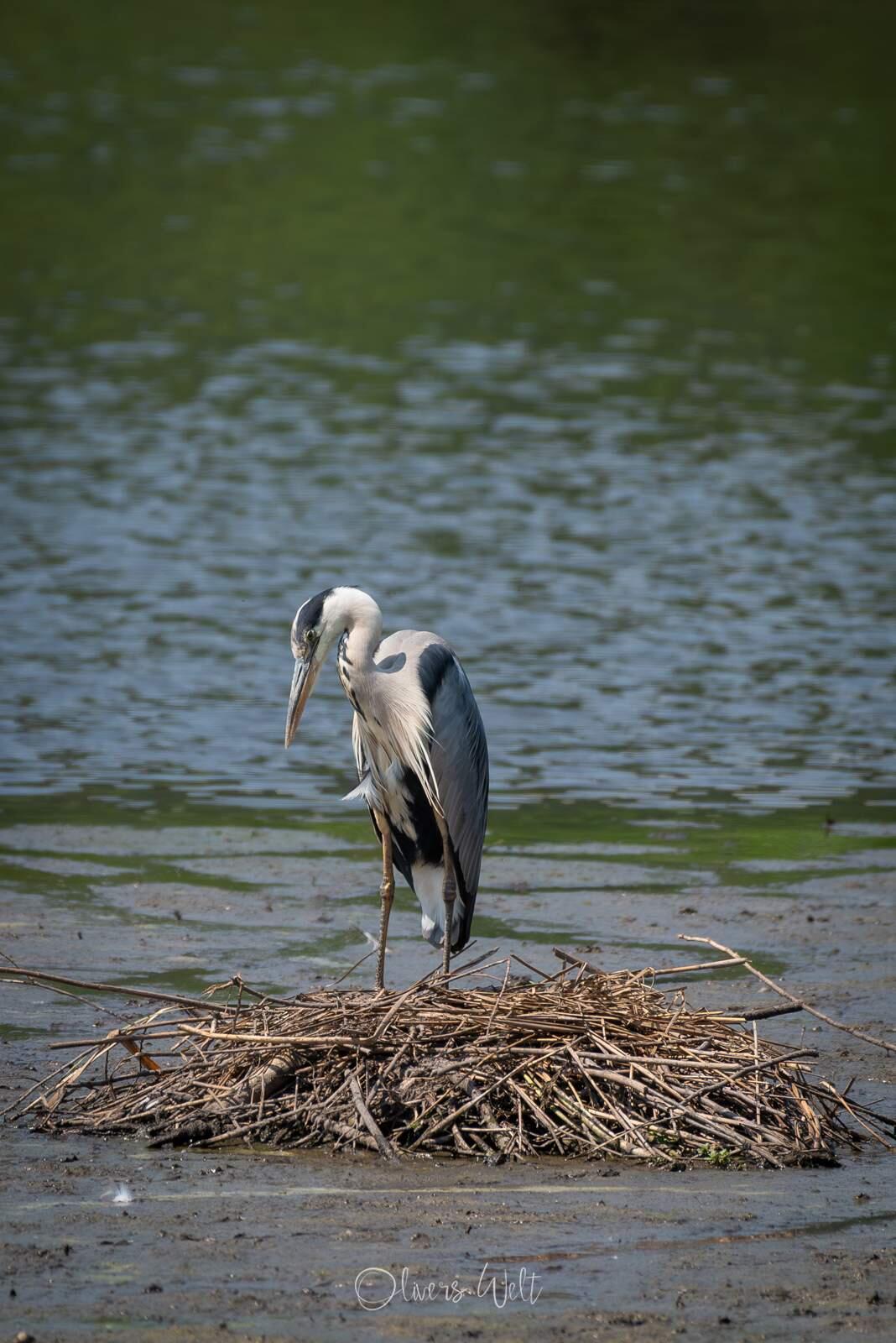 Bild ohne Beschreibung