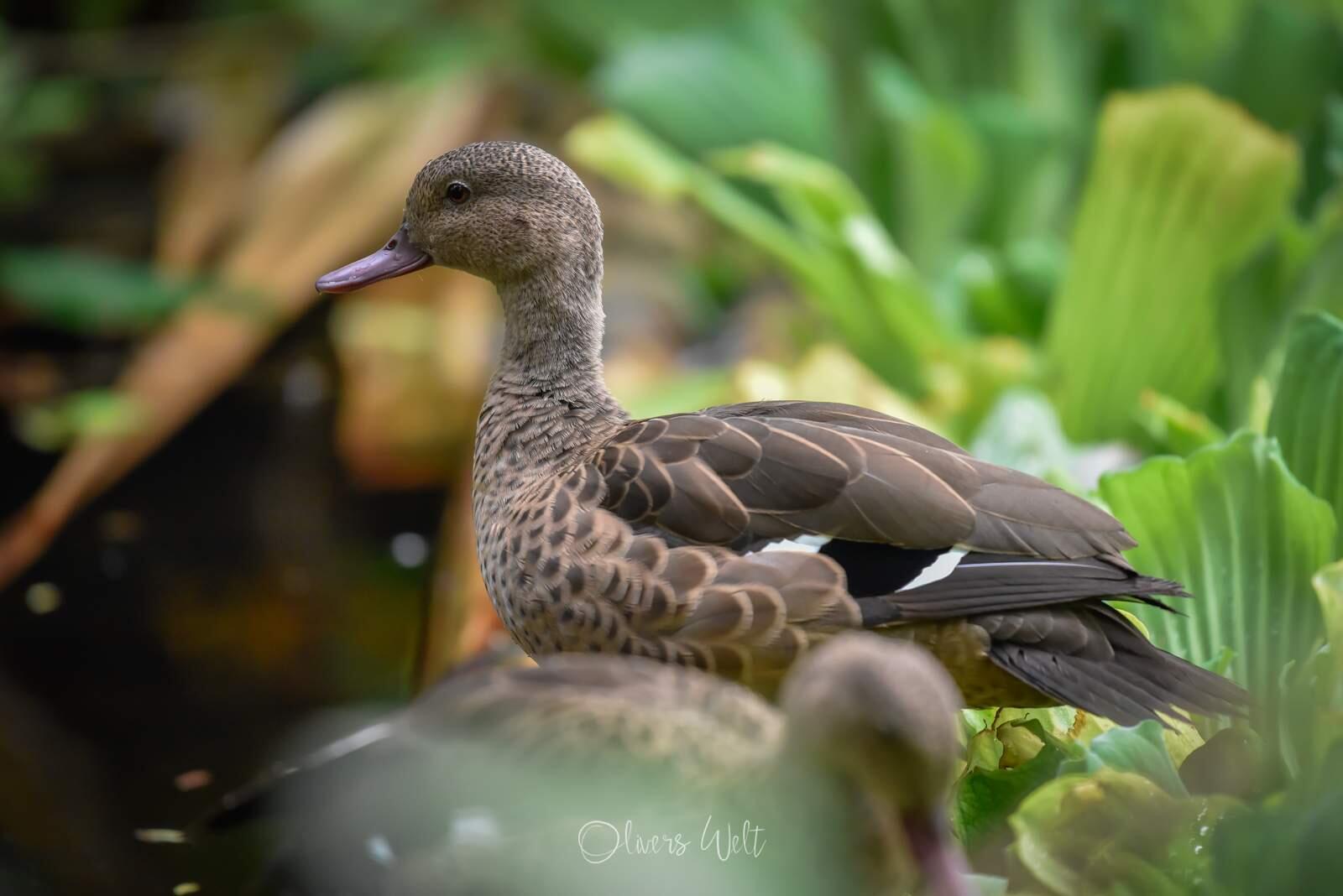 Bild ohne Beschreibung Bild ohne Beschreibung