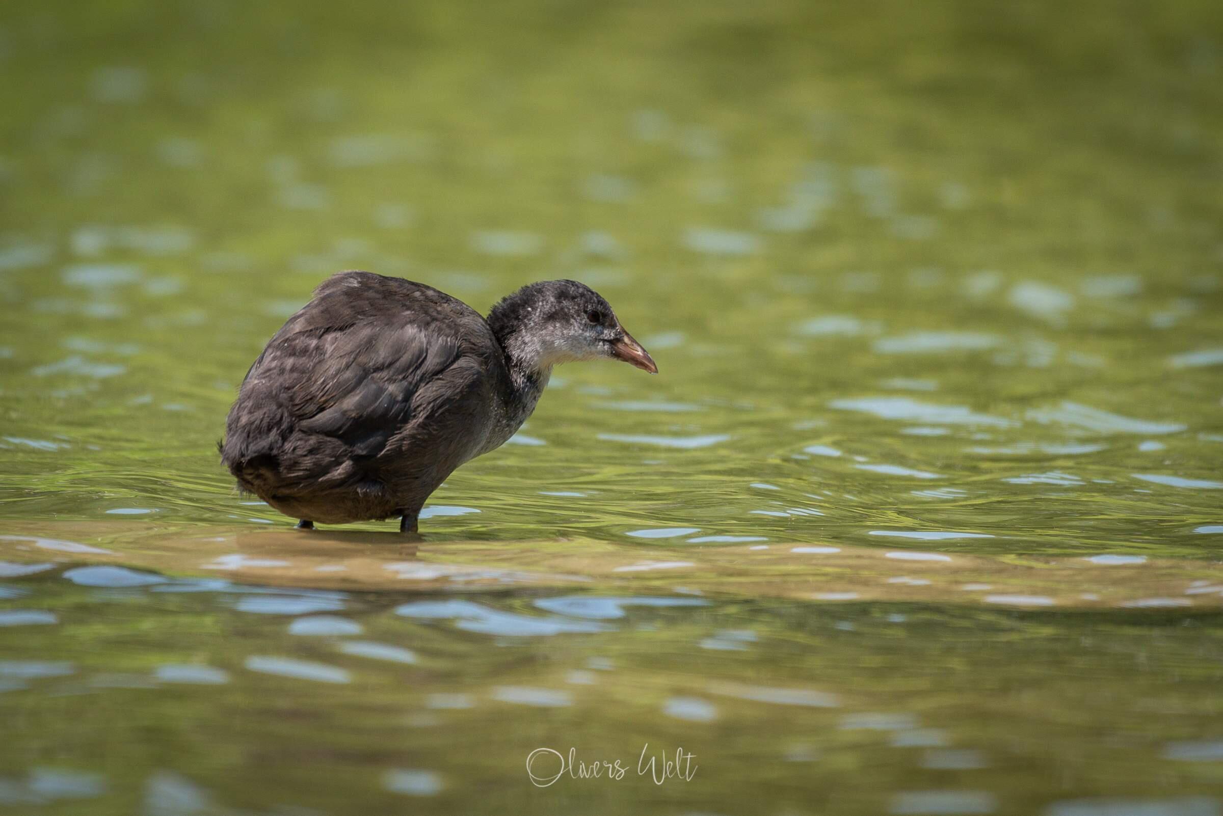 Bild ohne Beschreibung