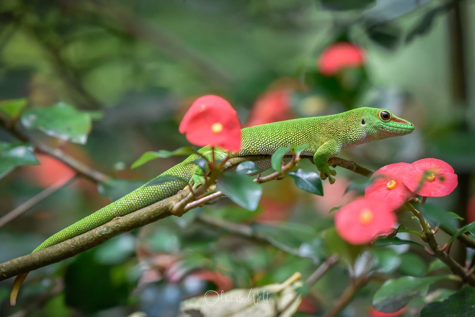 Bild ohne Beschreibung Bild ohne Beschreibung