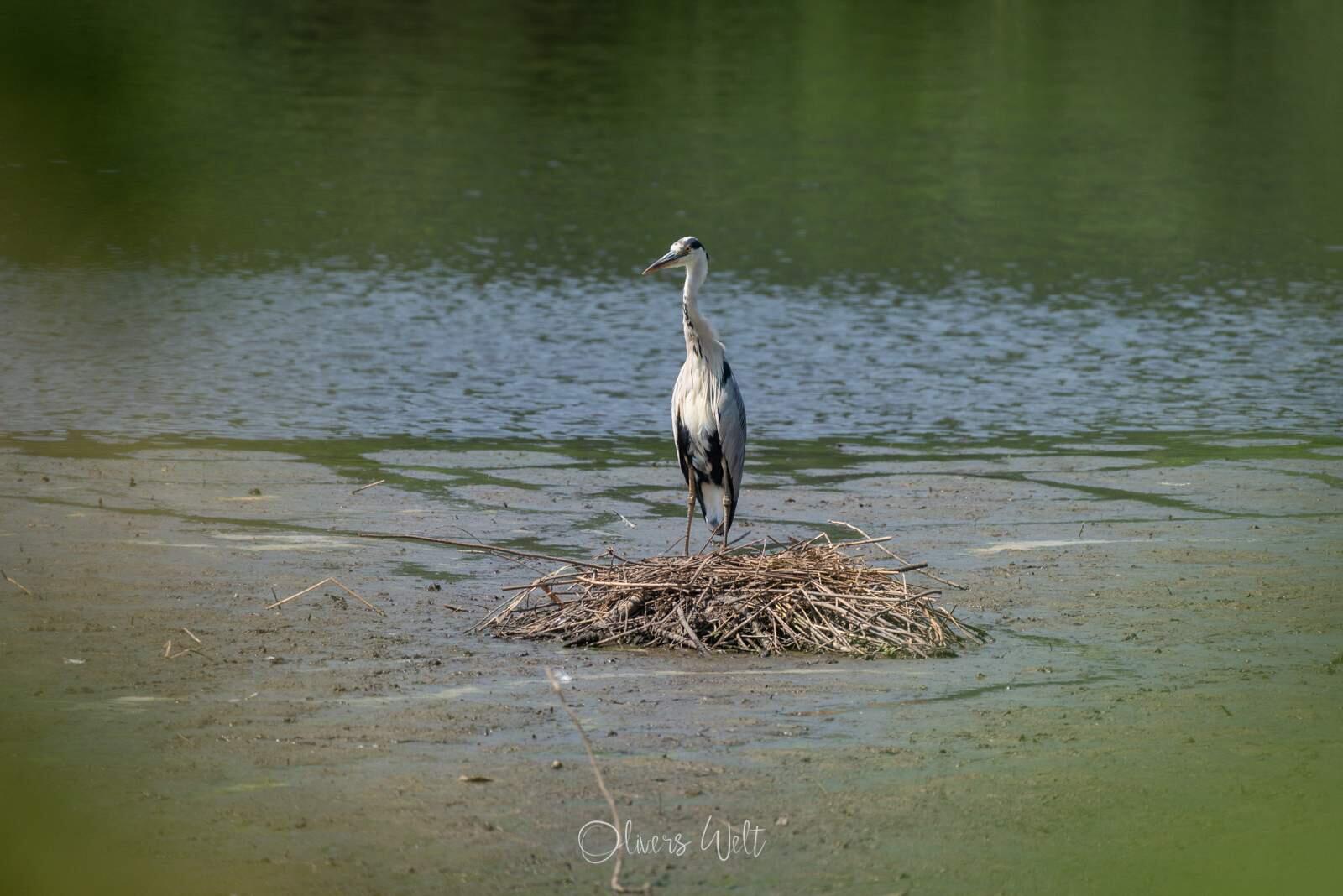 Bild ohne Beschreibung