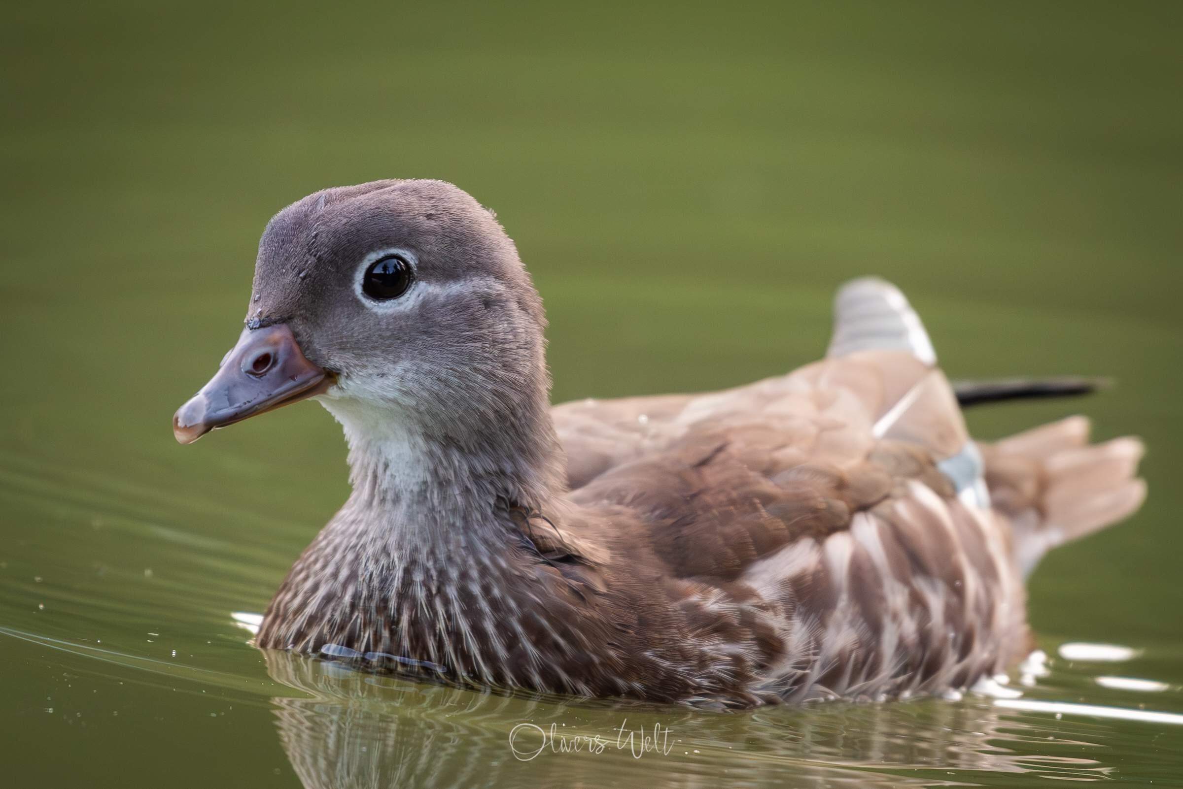 Bild ohne Beschreibung Bild ohne Beschreibung