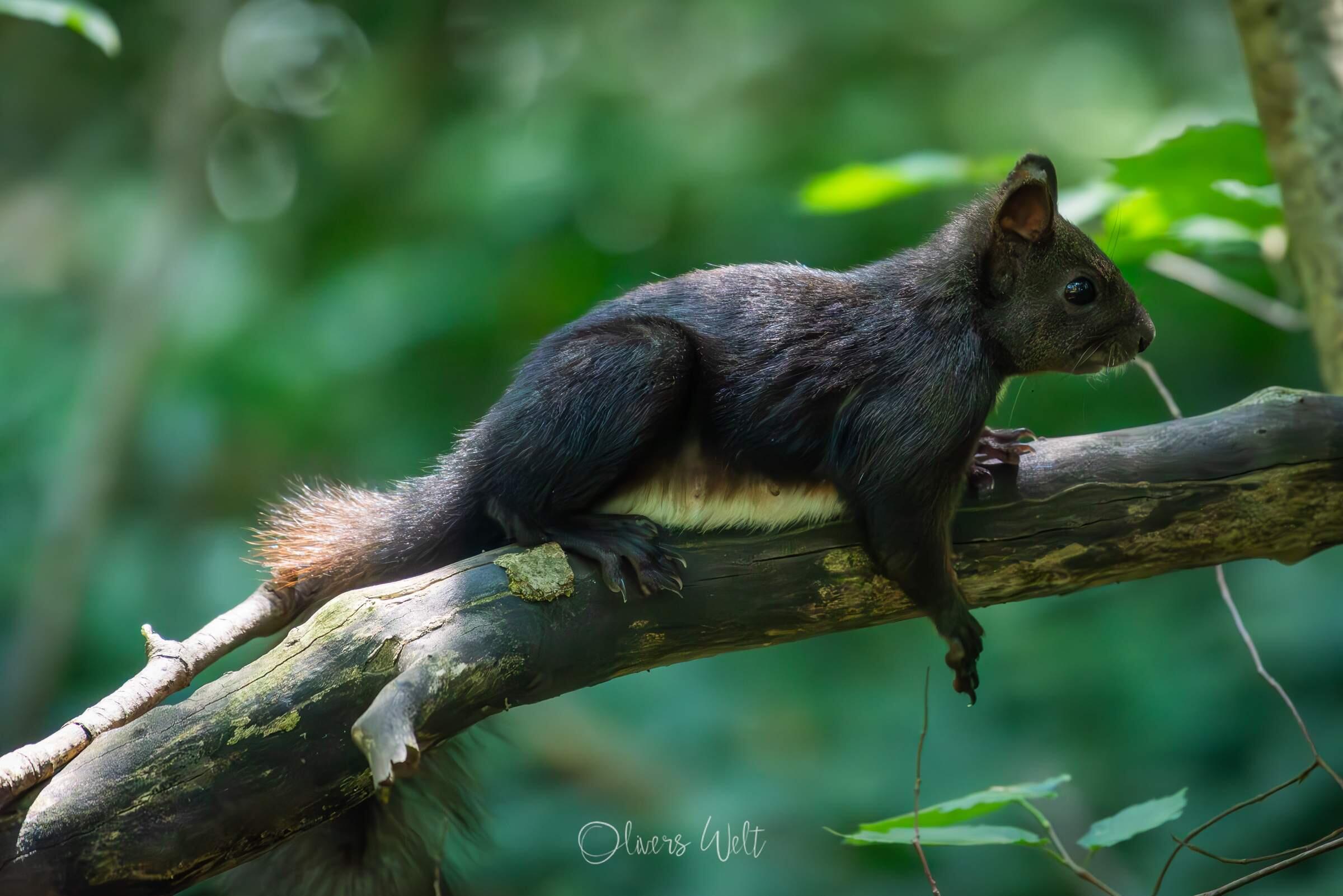 Bild ohne Beschreibung