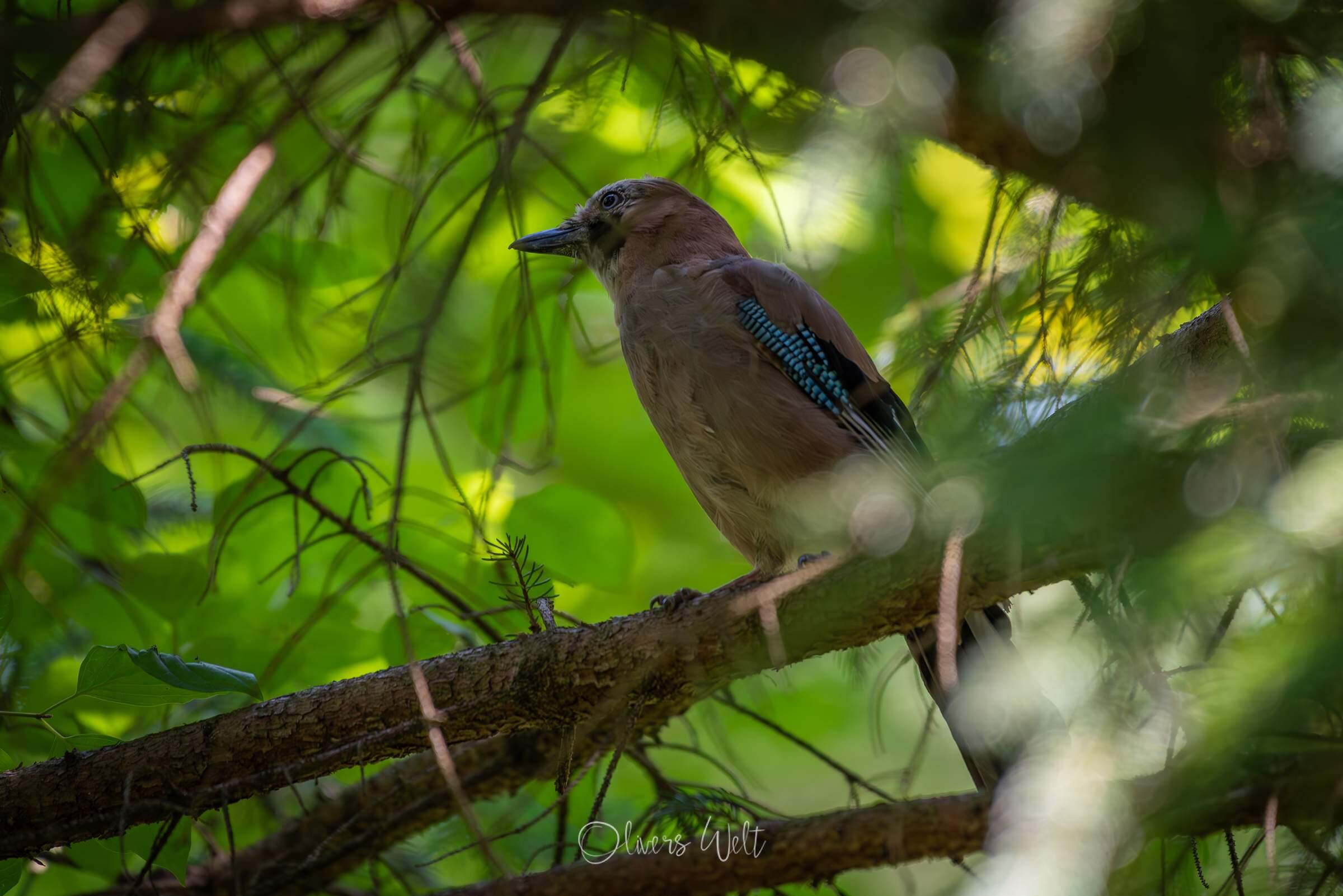 Bild ohne Beschreibung