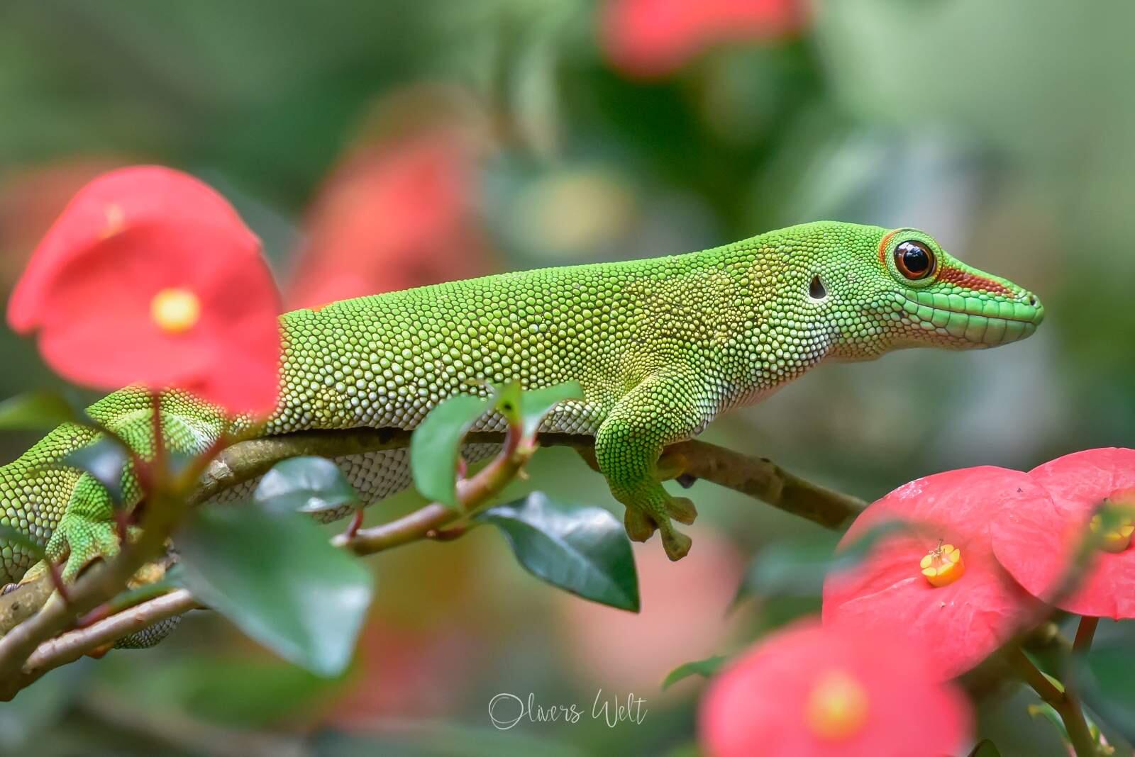 Bild ohne Beschreibung Bild ohne Beschreibung