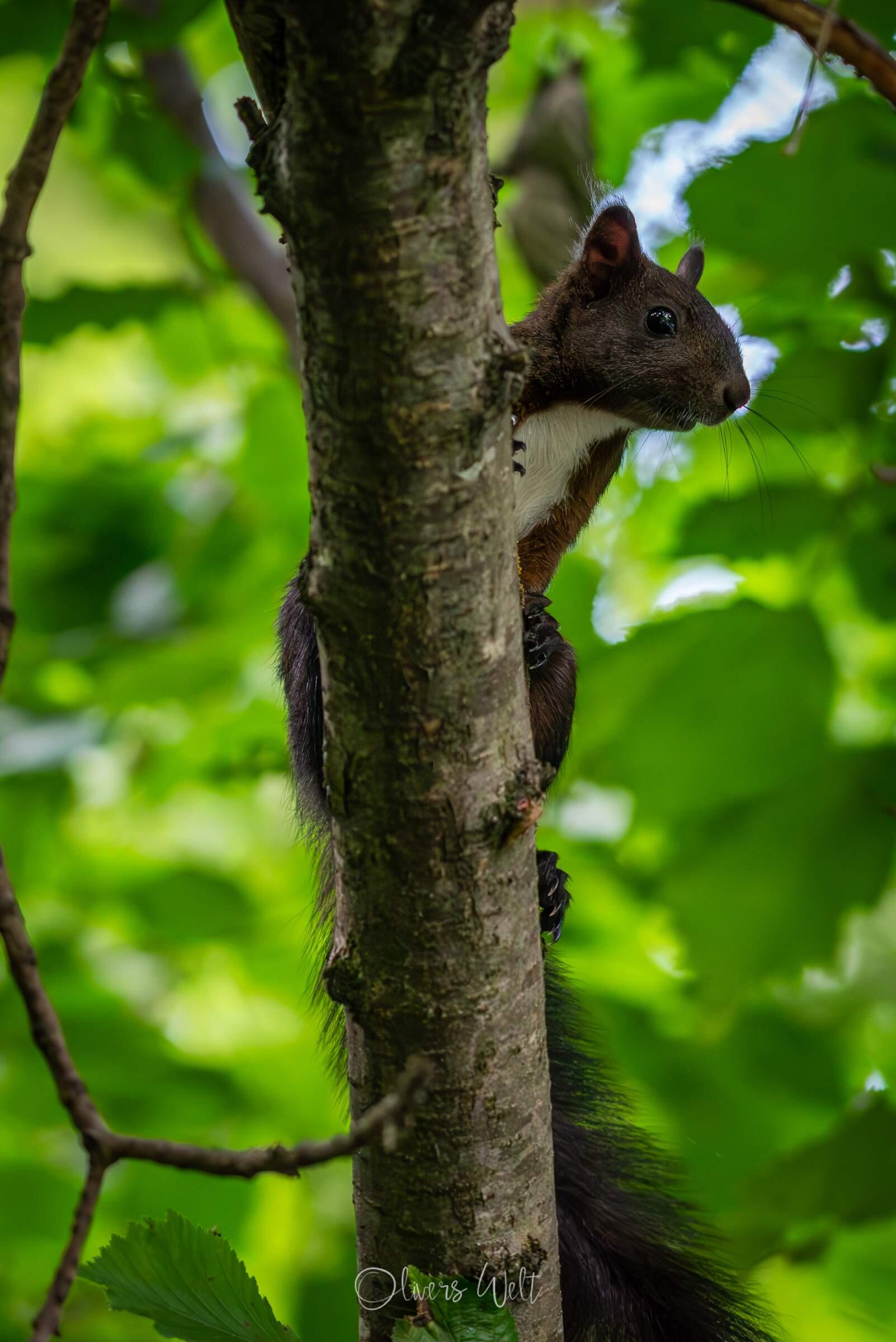 Bild ohne Beschreibung