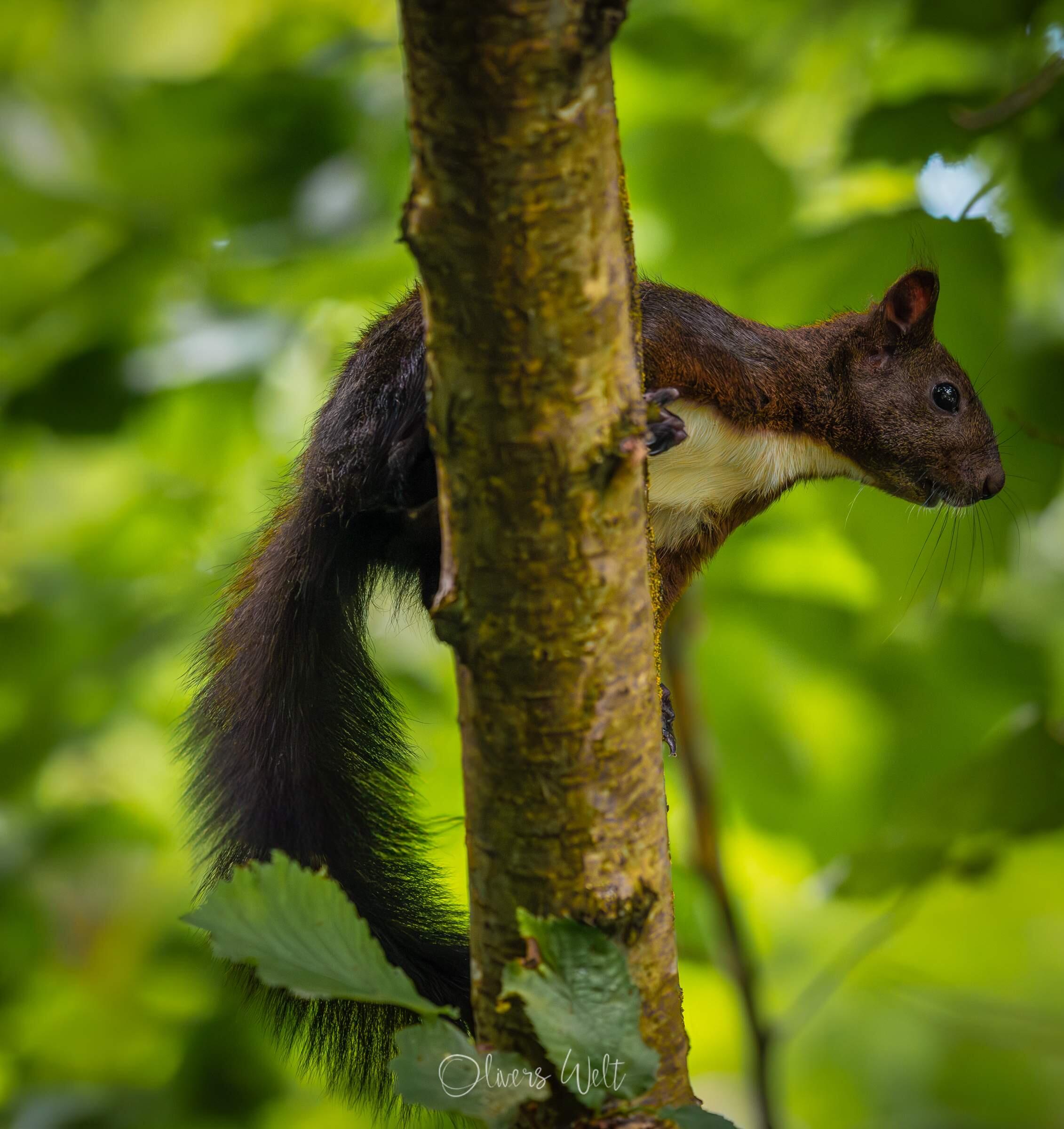 Bild ohne Beschreibung