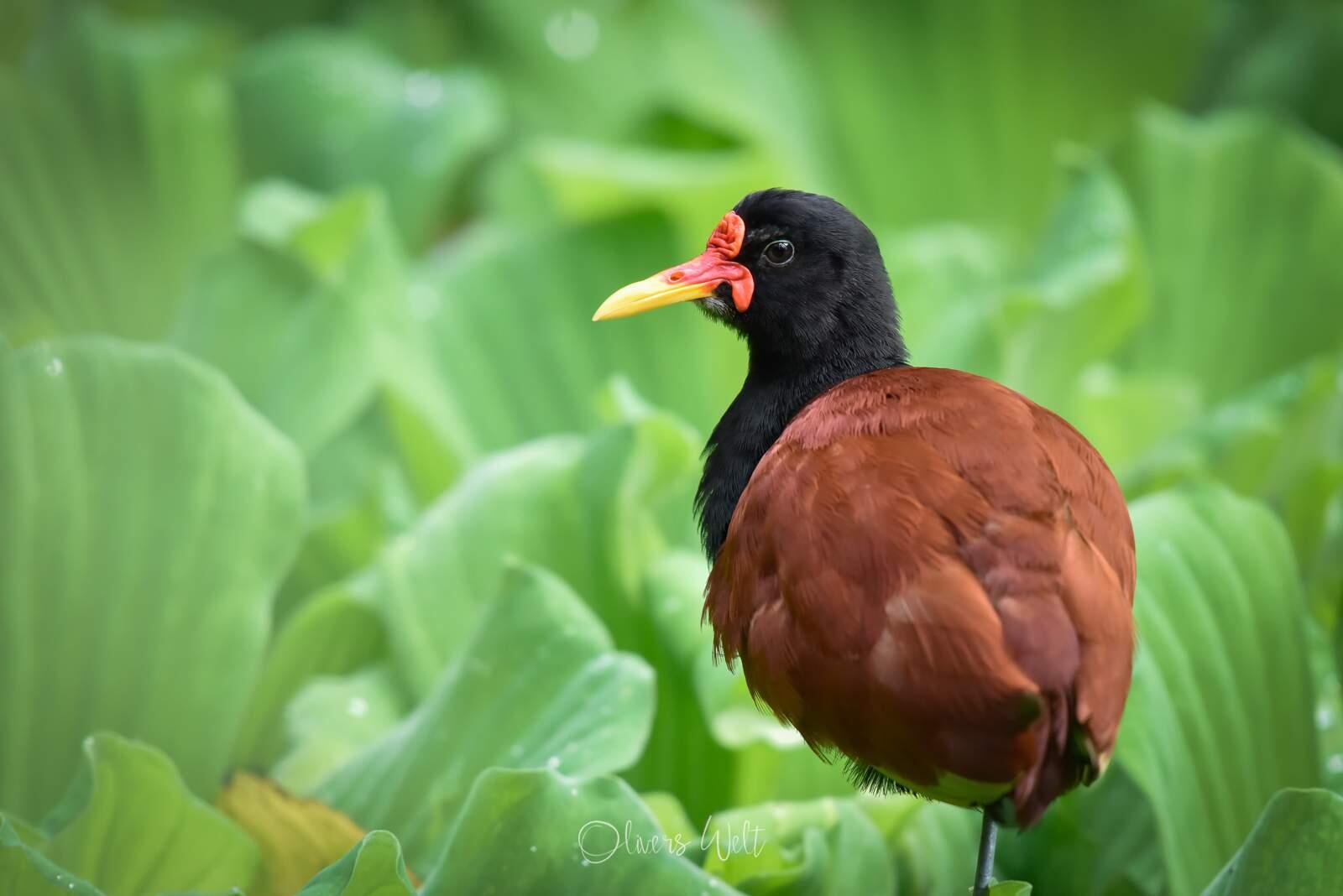 Bild ohne Beschreibung Bild ohne Beschreibung