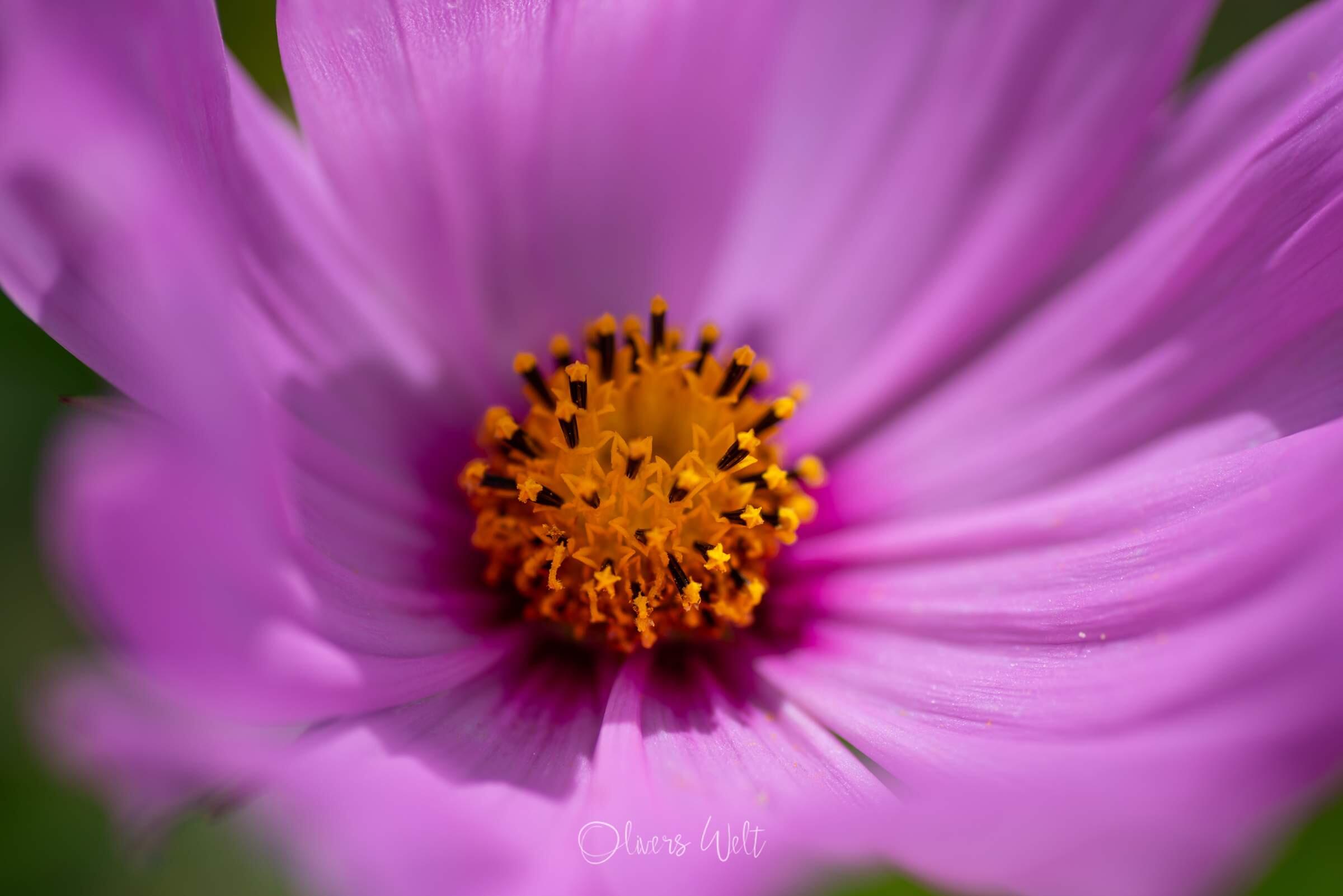 Bild ohne Beschreibung Bild ohne Beschreibung