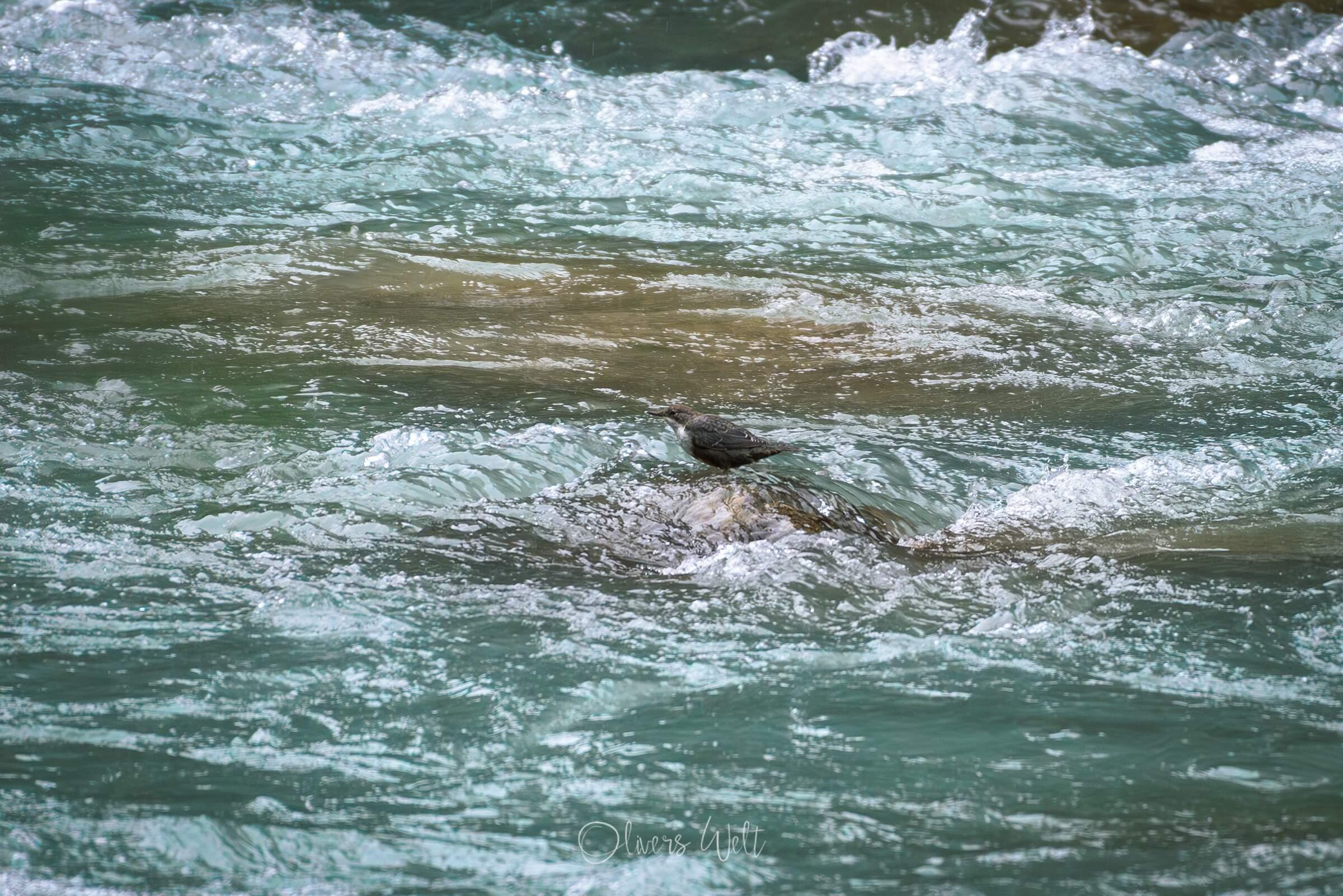 Bild ohne Beschreibung