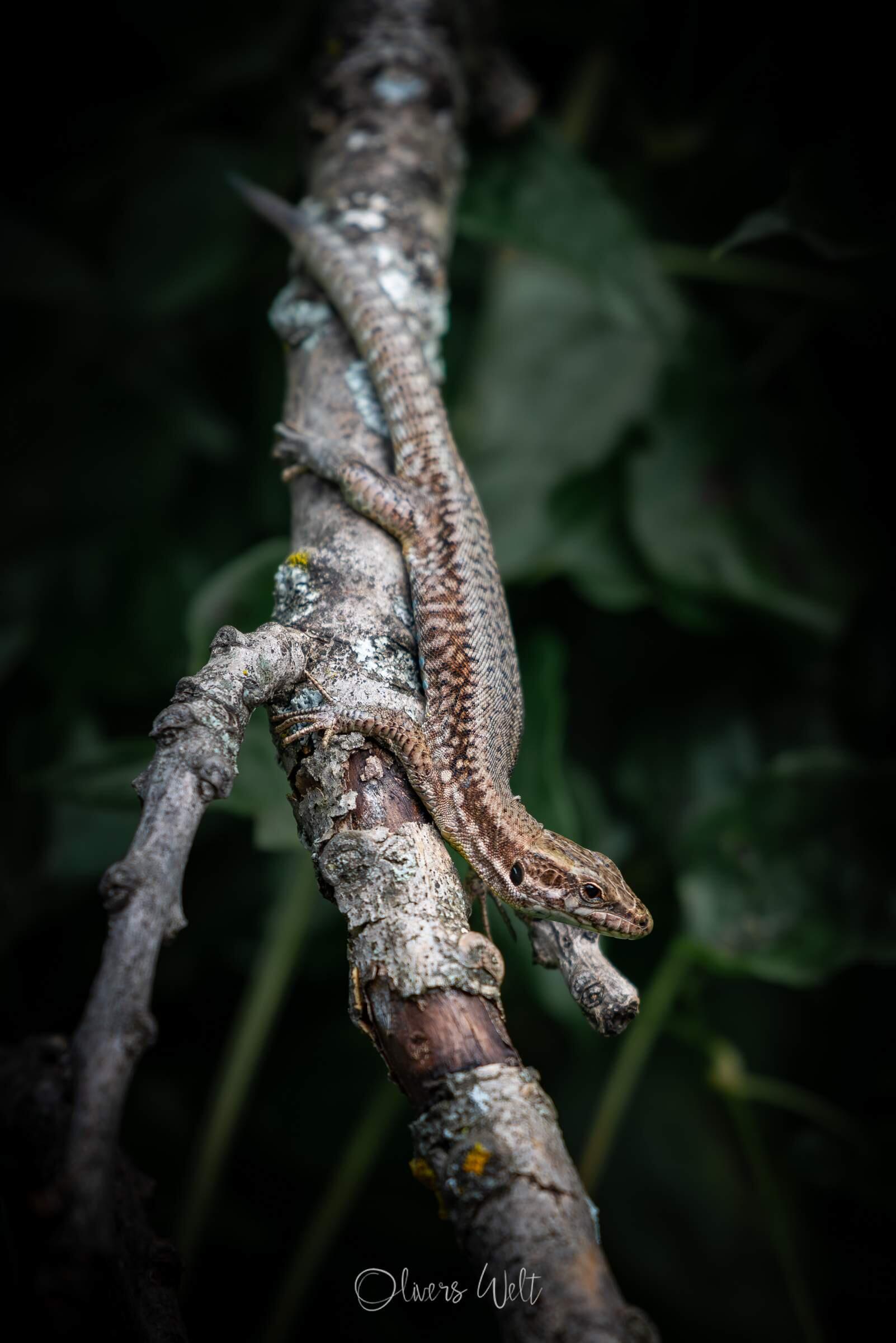 Bild ohne Beschreibung