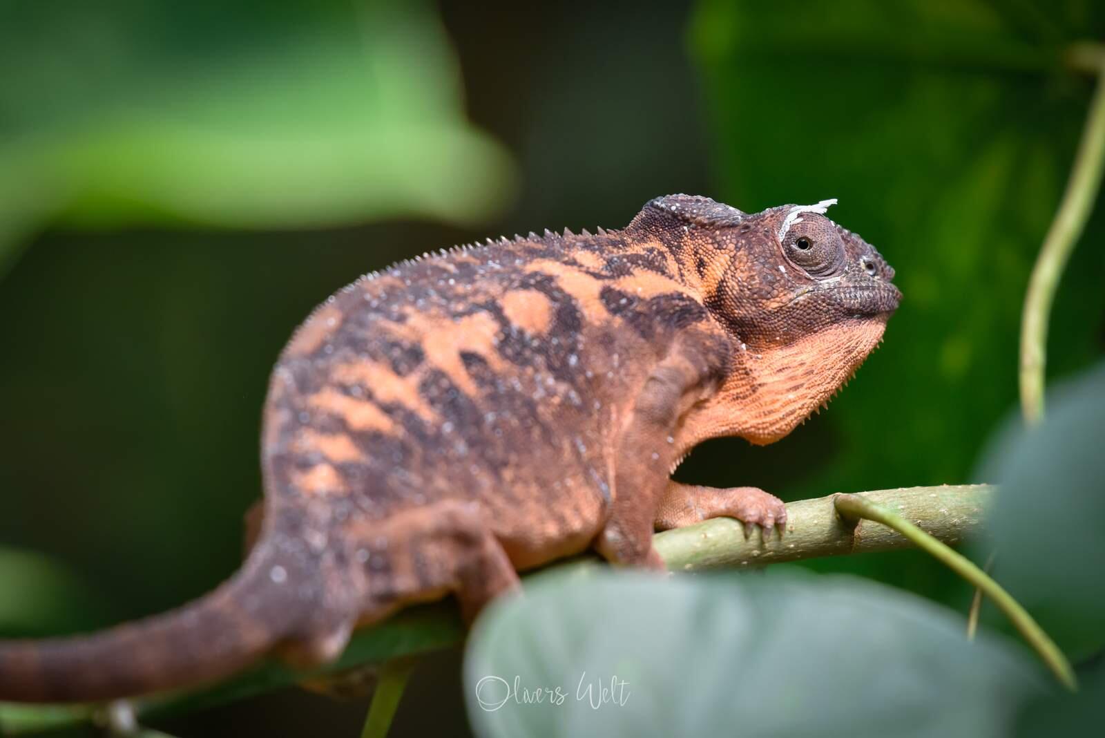 Bild ohne Beschreibung Bild ohne Beschreibung