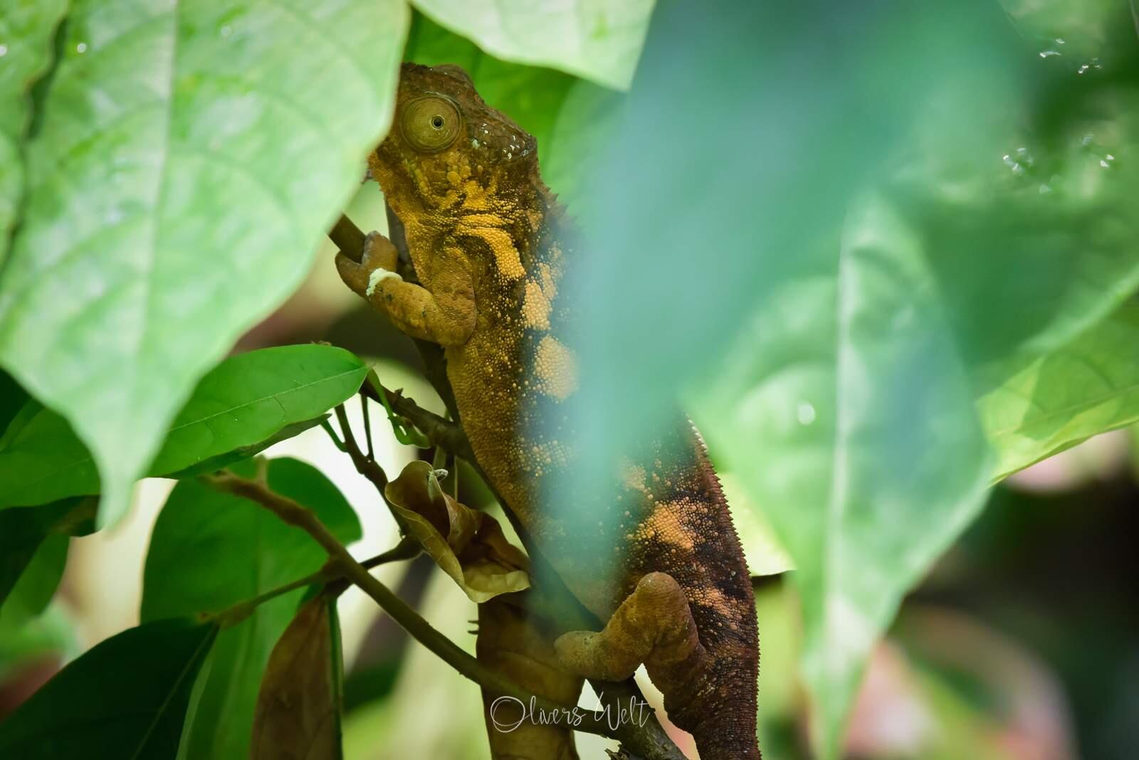 Bild ohne Beschreibung Bild ohne Beschreibung