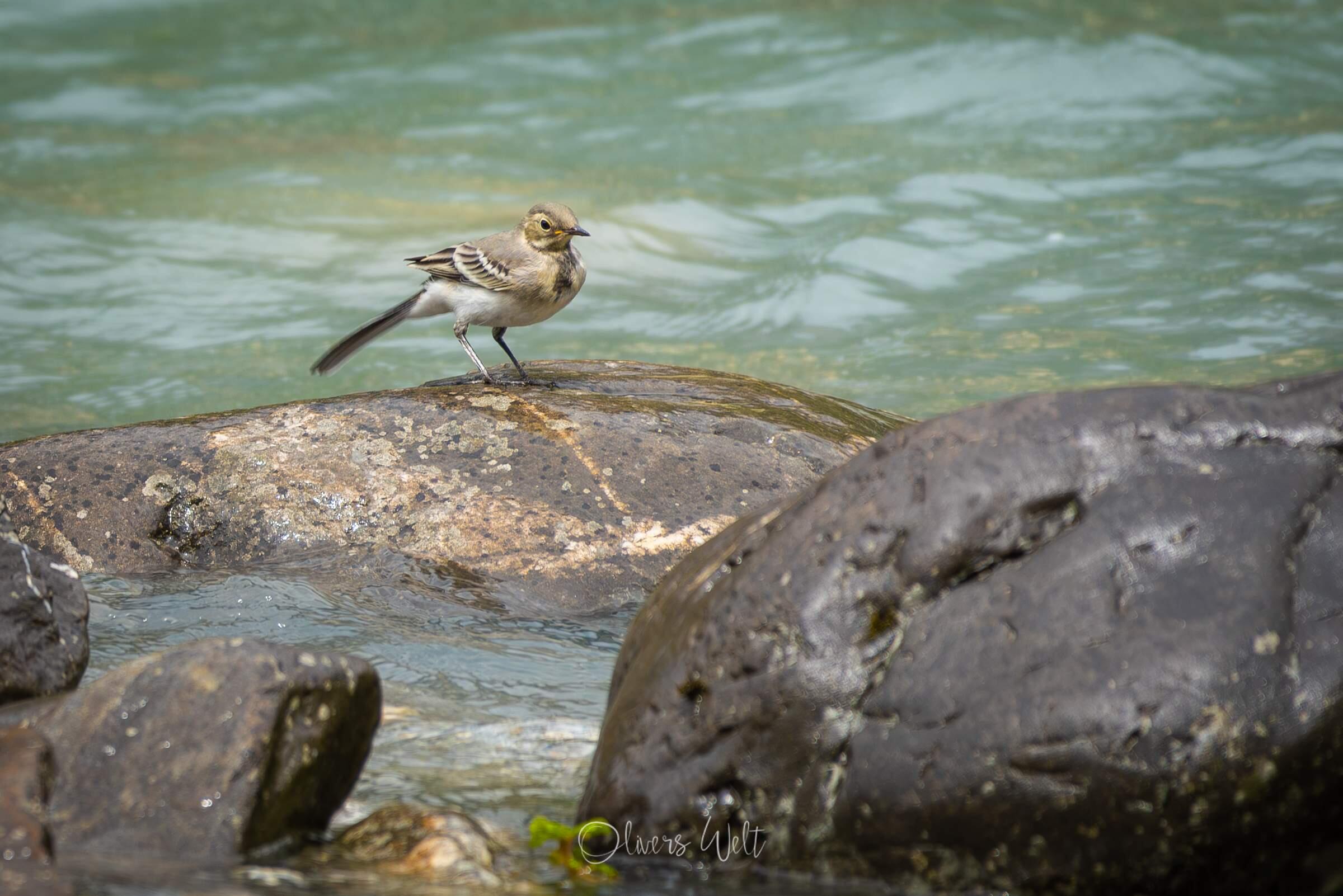 Bild ohne Beschreibung