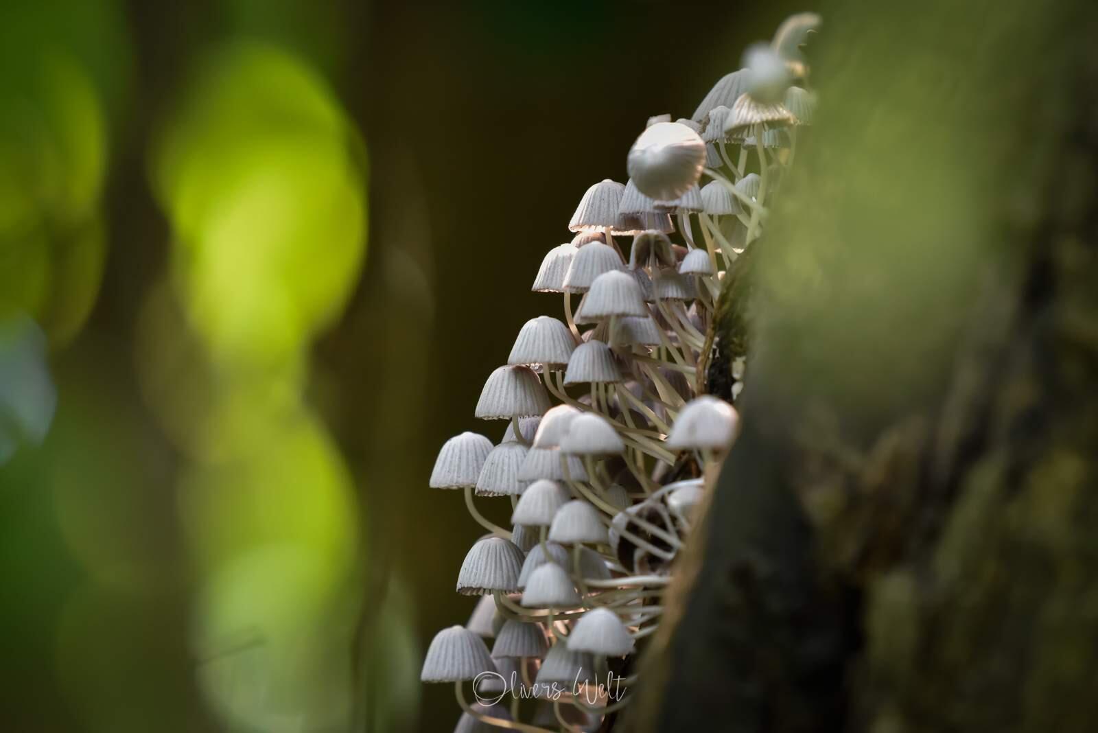 Bild ohne Beschreibung Bild ohne Beschreibung