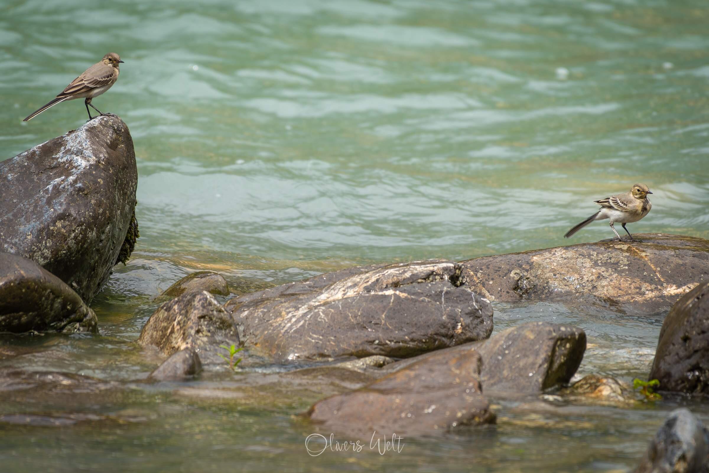 Bild ohne Beschreibung