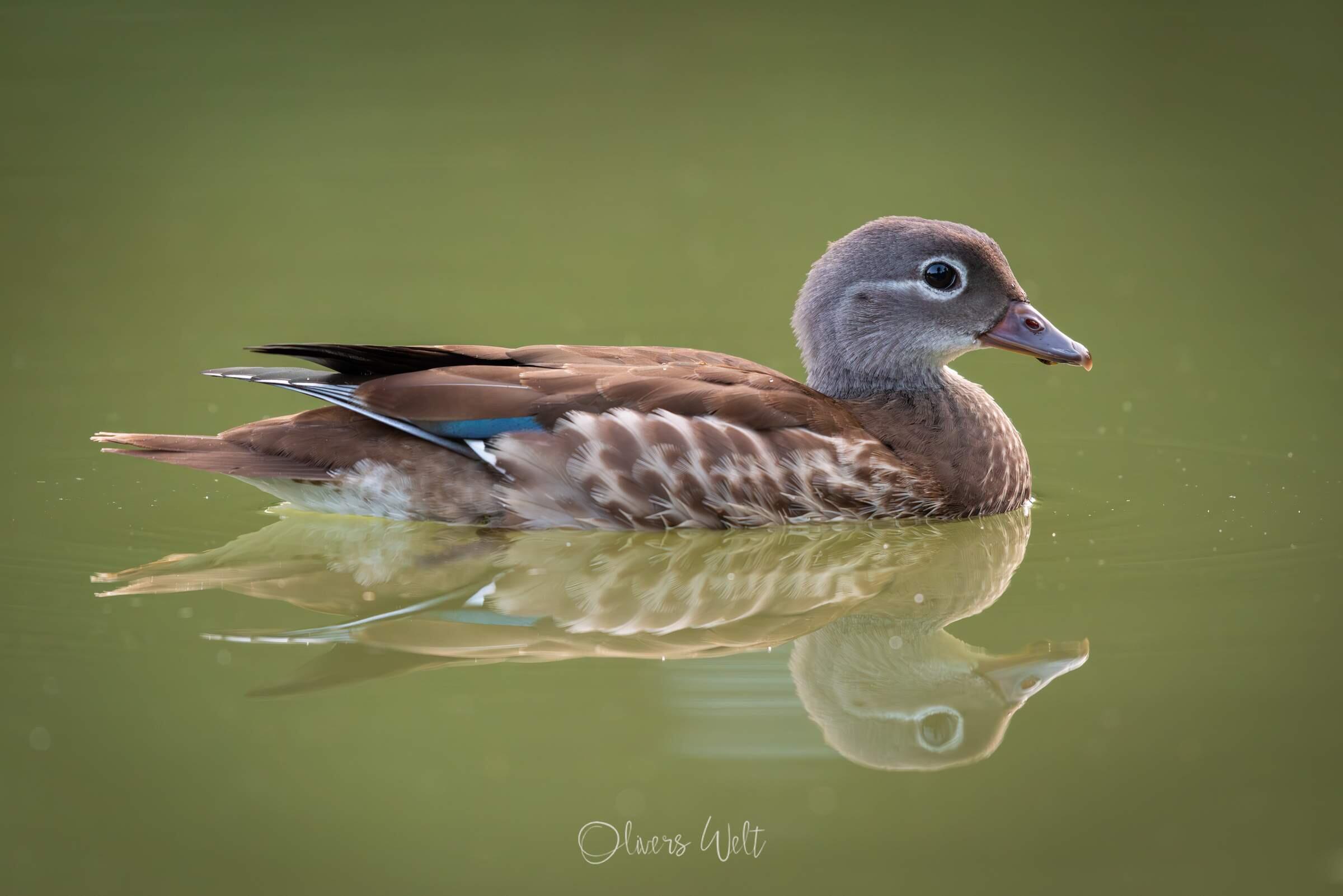 Bild ohne Beschreibung Bild ohne Beschreibung