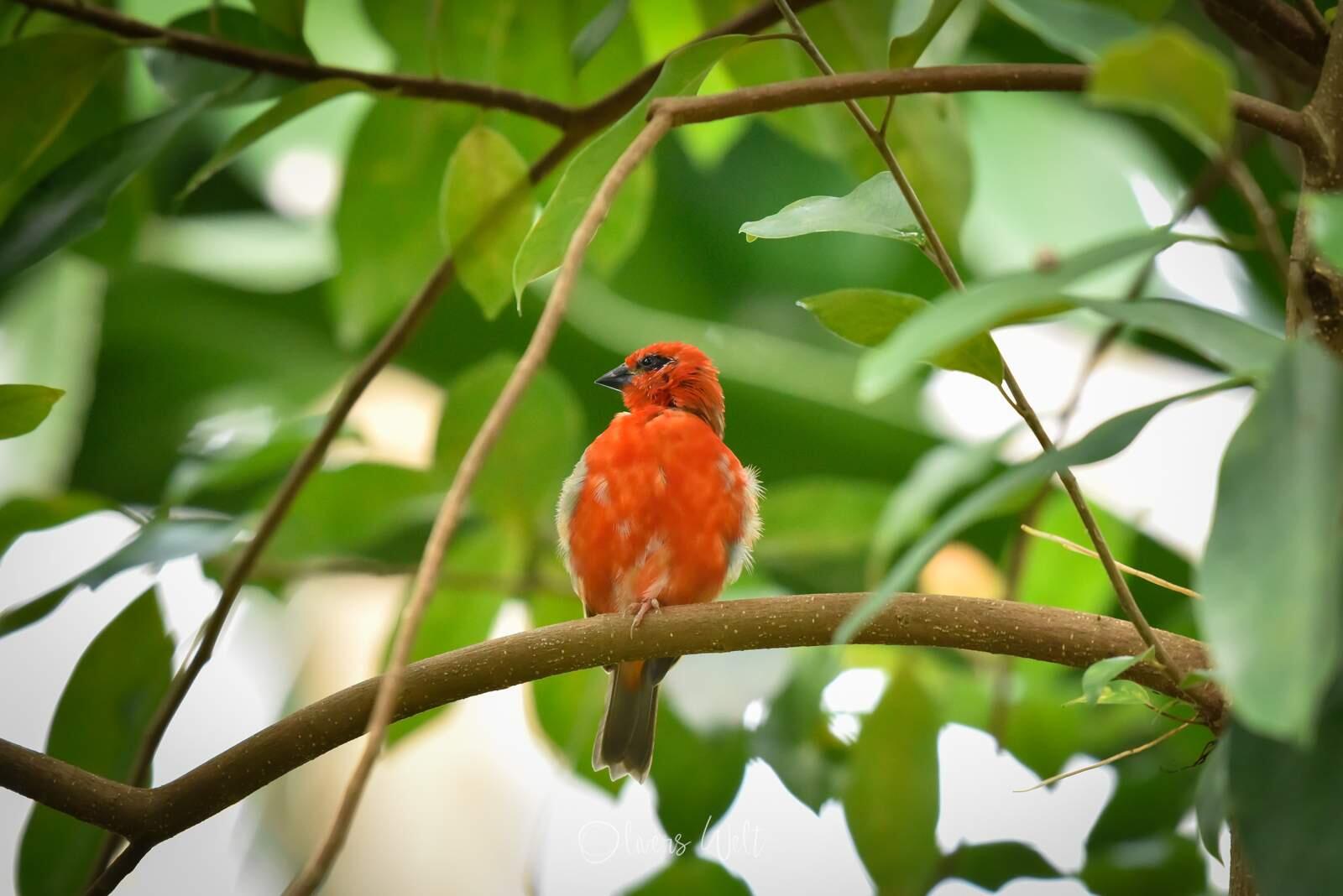 Bild ohne Beschreibung Bild ohne Beschreibung
