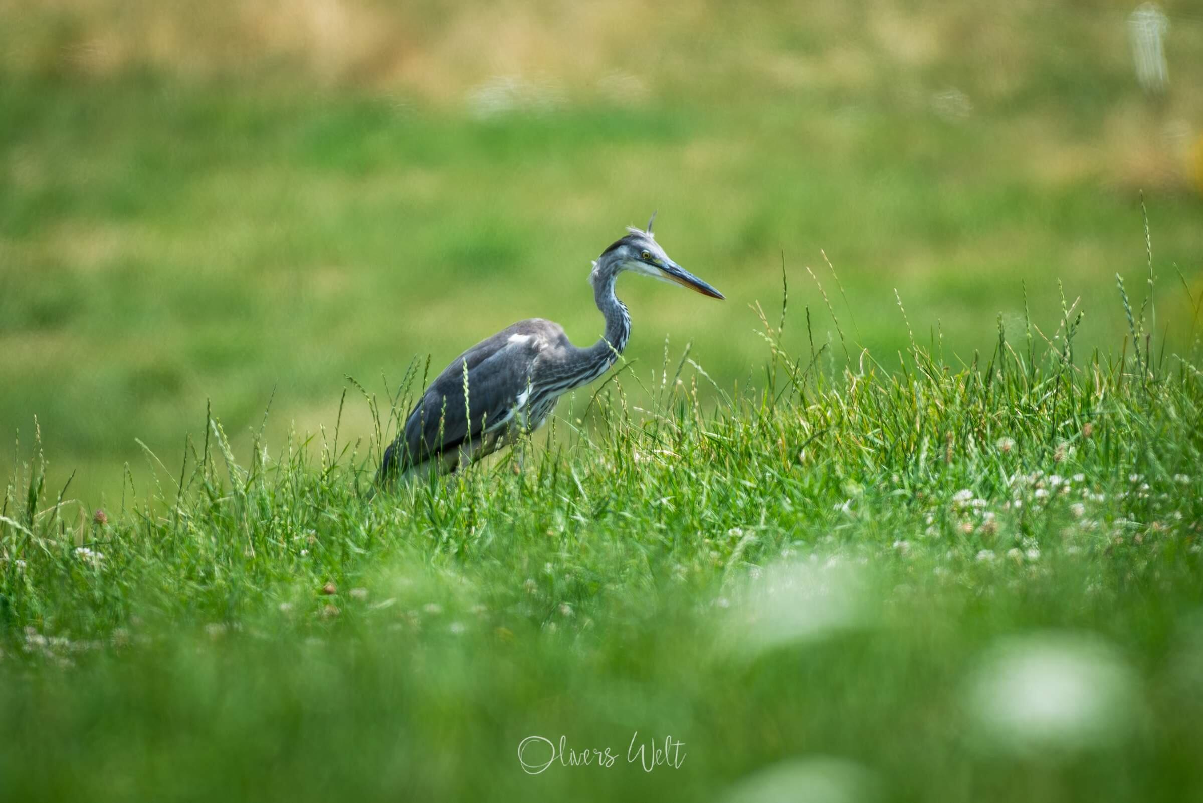 Bild ohne Beschreibung