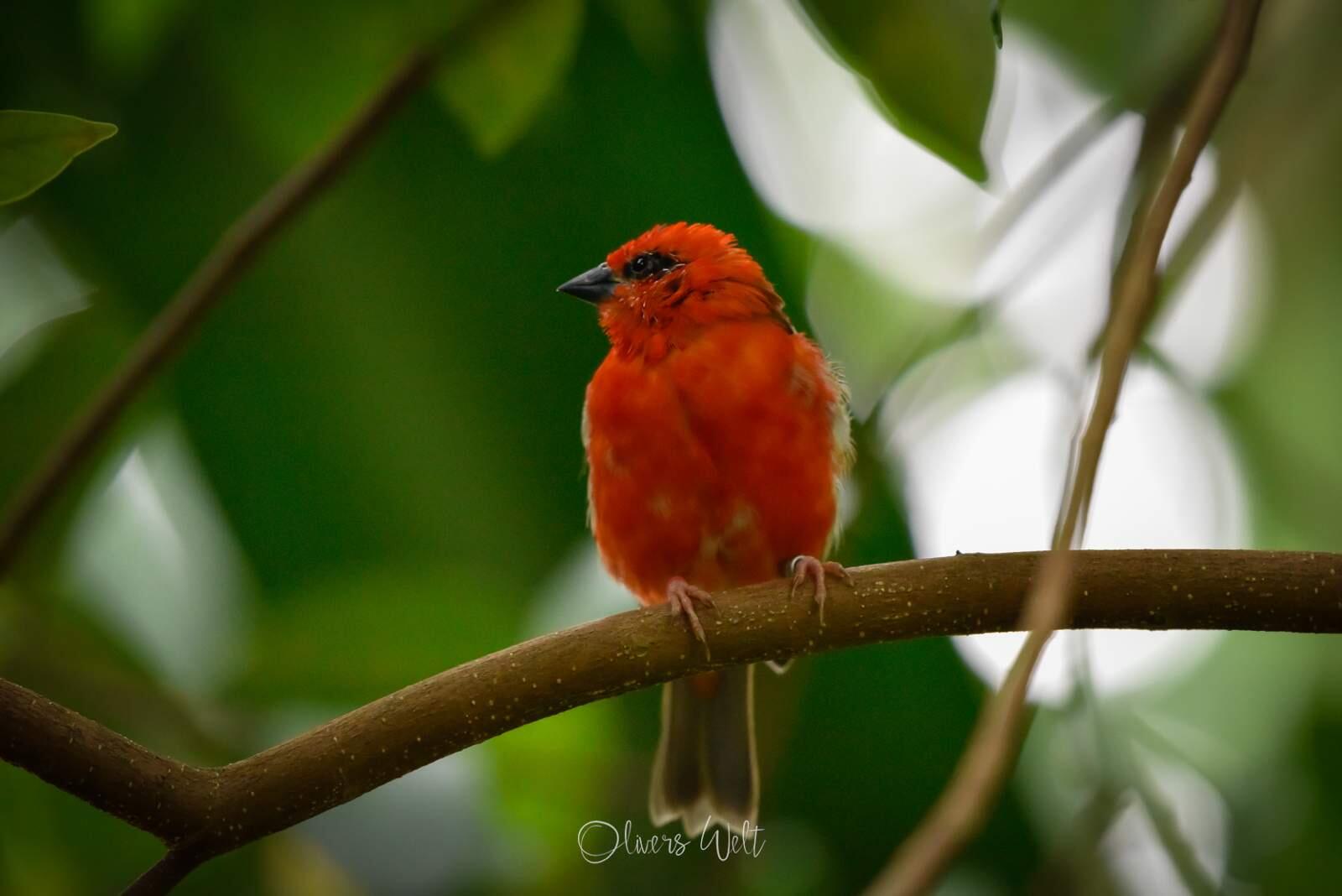 Bild ohne Beschreibung Bild ohne Beschreibung
