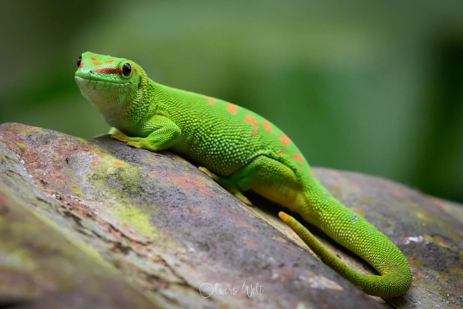 Bild ohne Beschreibung Bild ohne Beschreibung