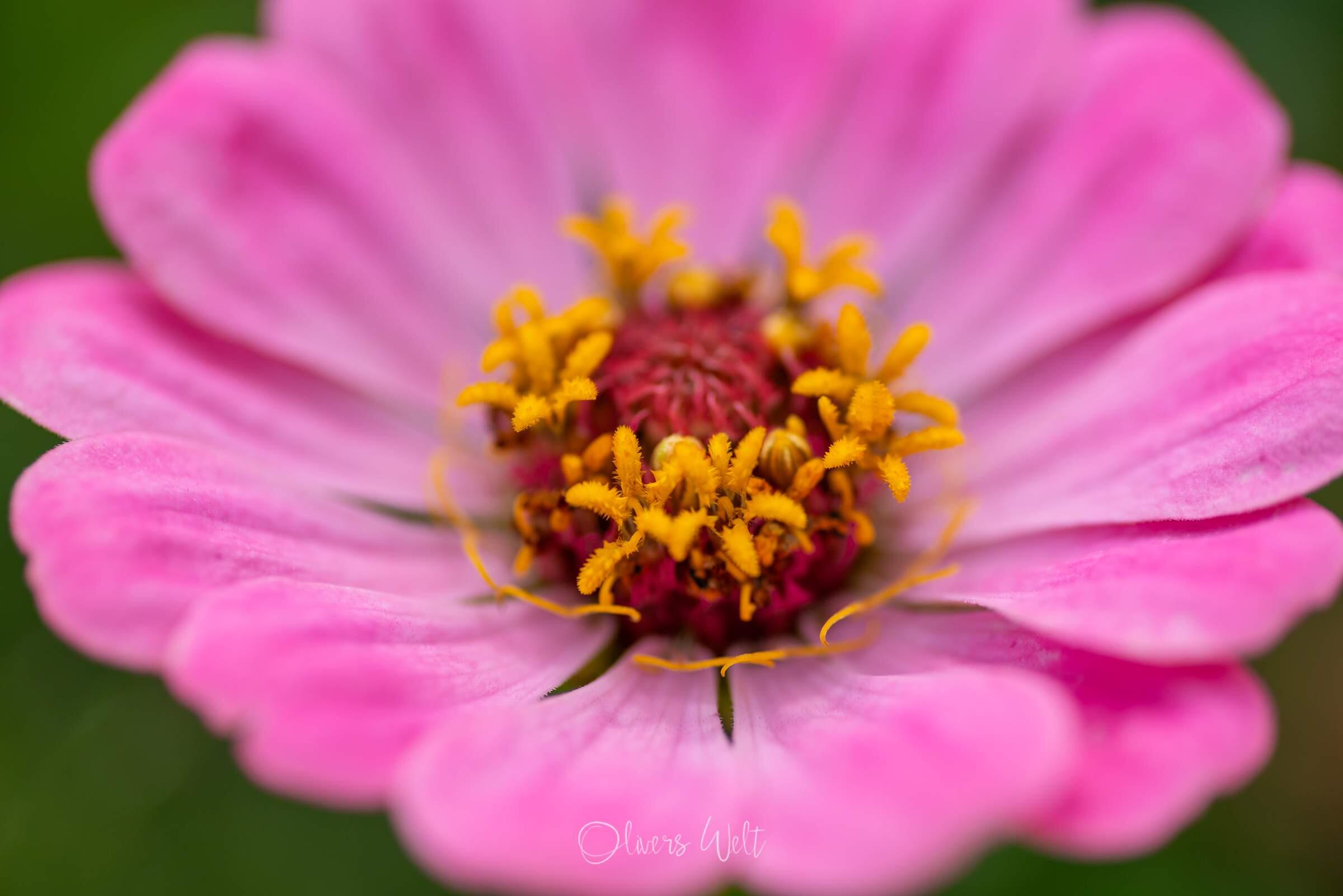 Bild ohne Beschreibung Bild ohne Beschreibung