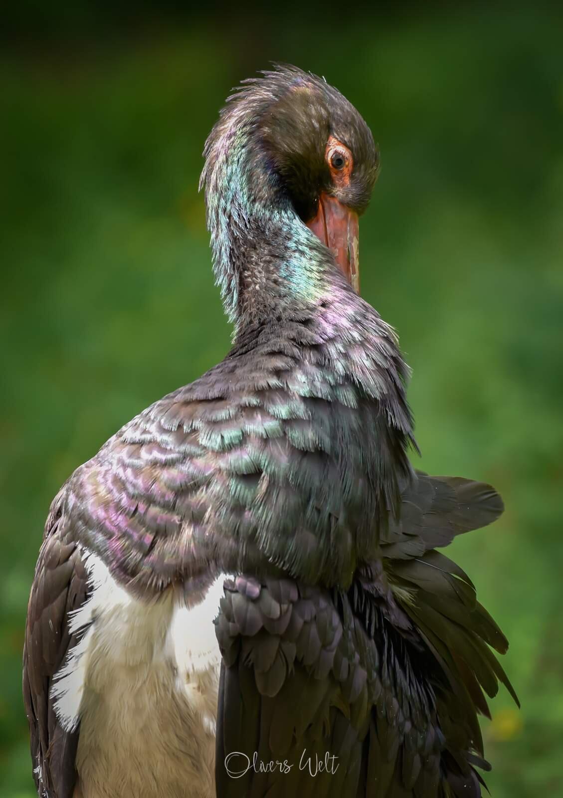 Bild ohne Beschreibung Bild ohne Beschreibung